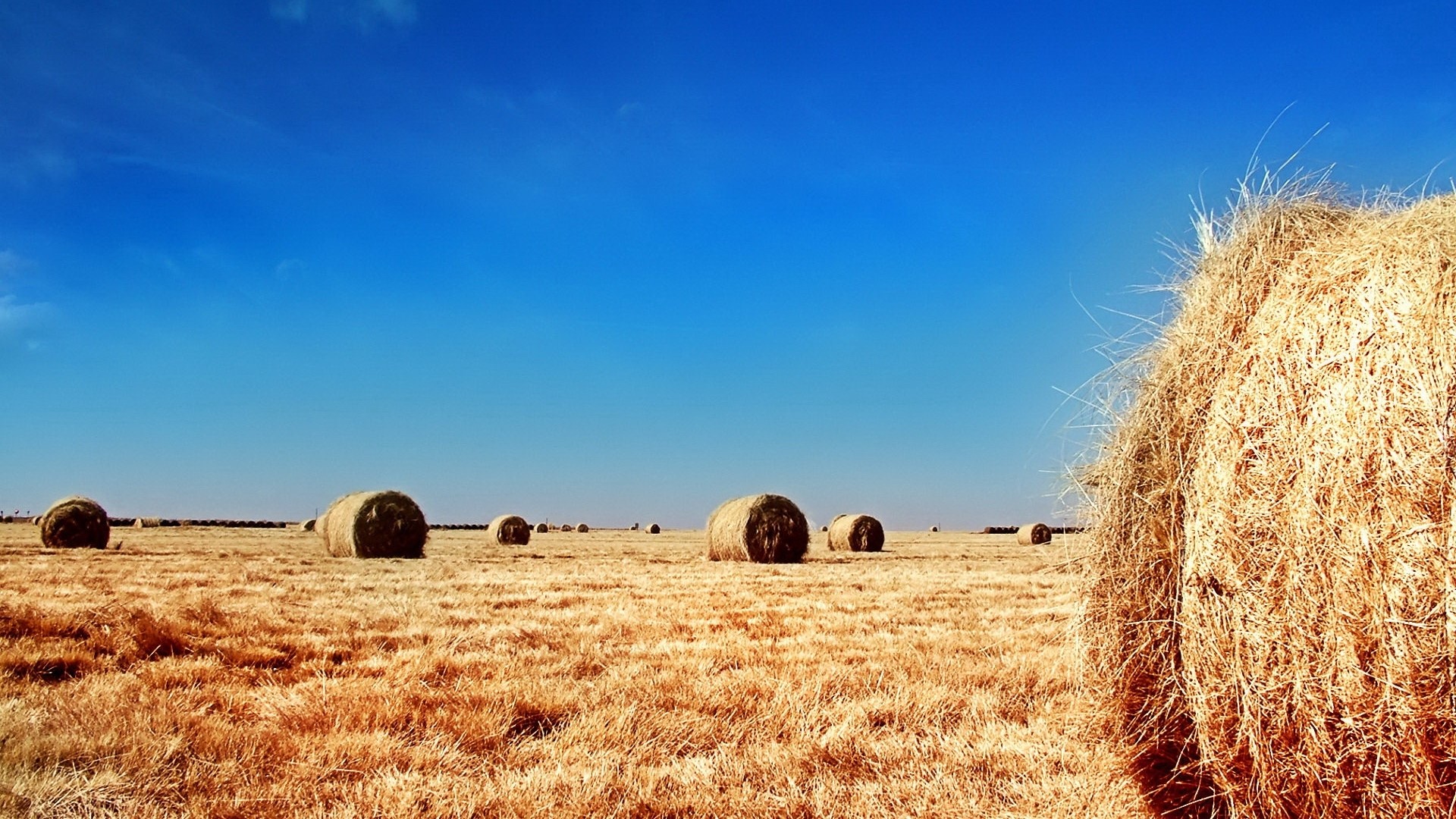 Hay bales in a field under a blue sky HD Wallpaper