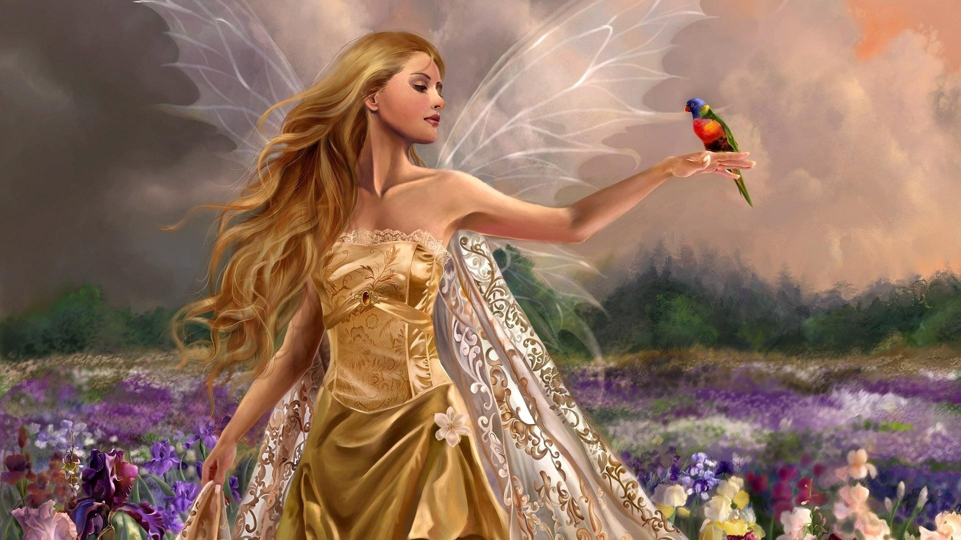 Fairy with a parrot in a field of flowers HD Wallpaper