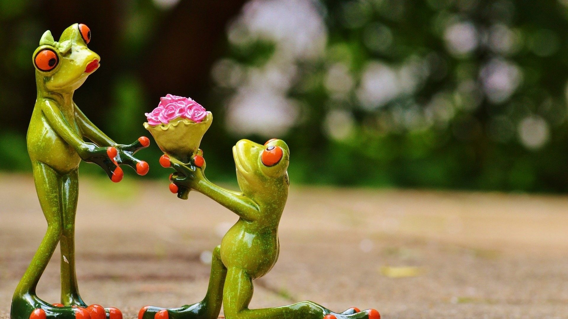 Two cute frogs with a bouquet of pink flowers HD Wallpaper