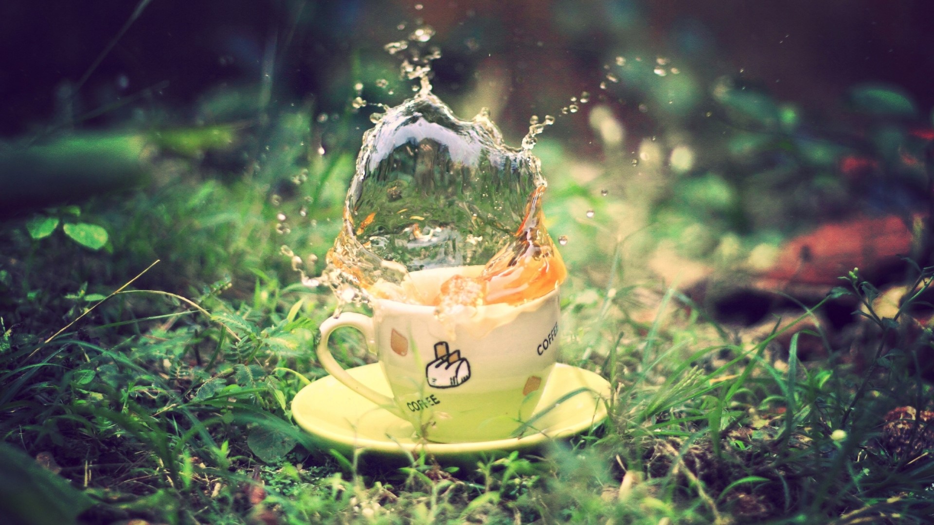 Coffee cup with water splash in forest HD Wallpaper