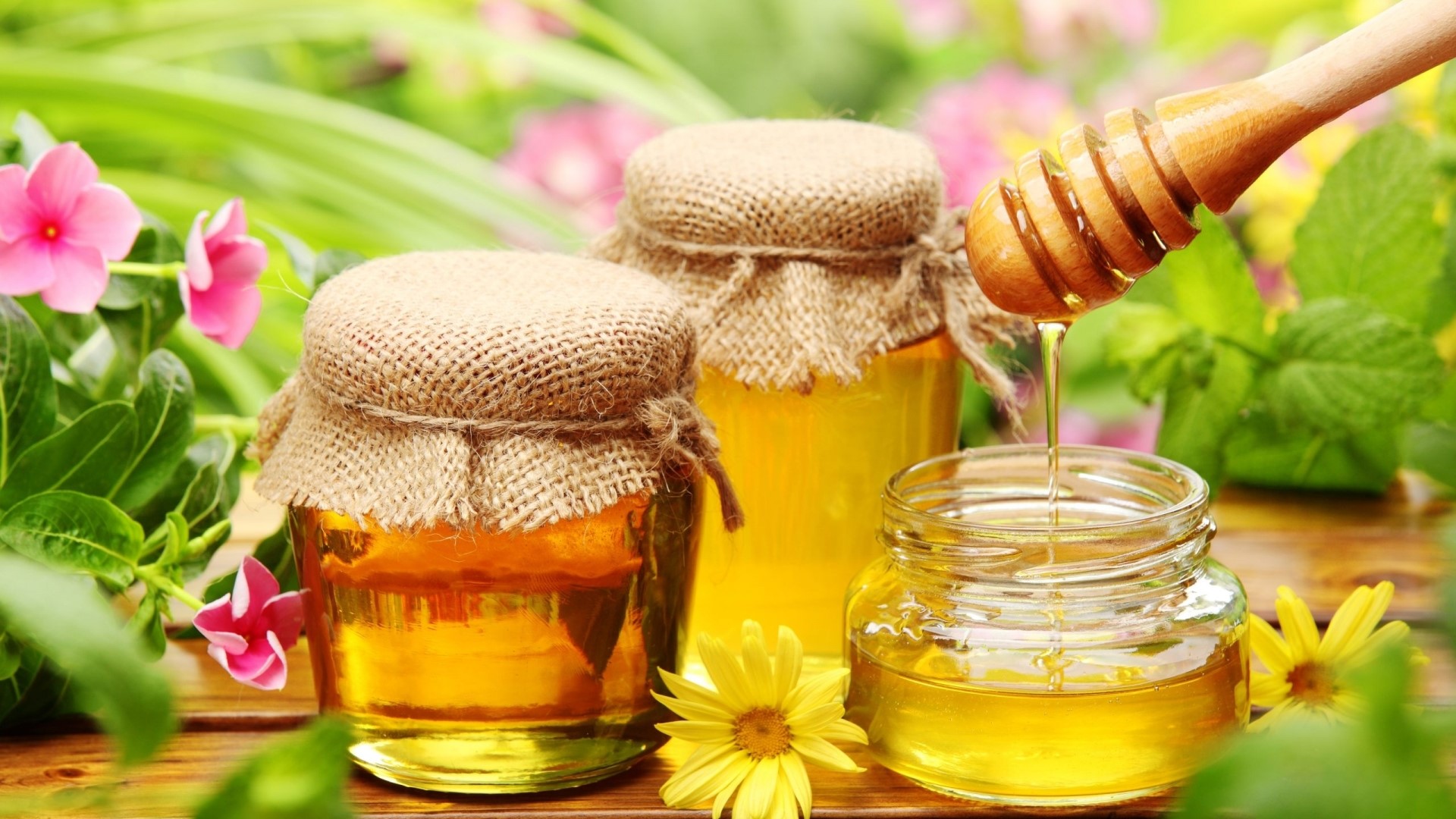 Honey Jars with Flowers and Honey Dipper HD Wallpaper