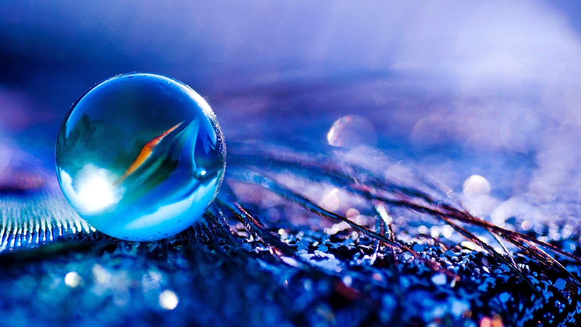Blue marble on peacock feather close-up HD Wallpaper