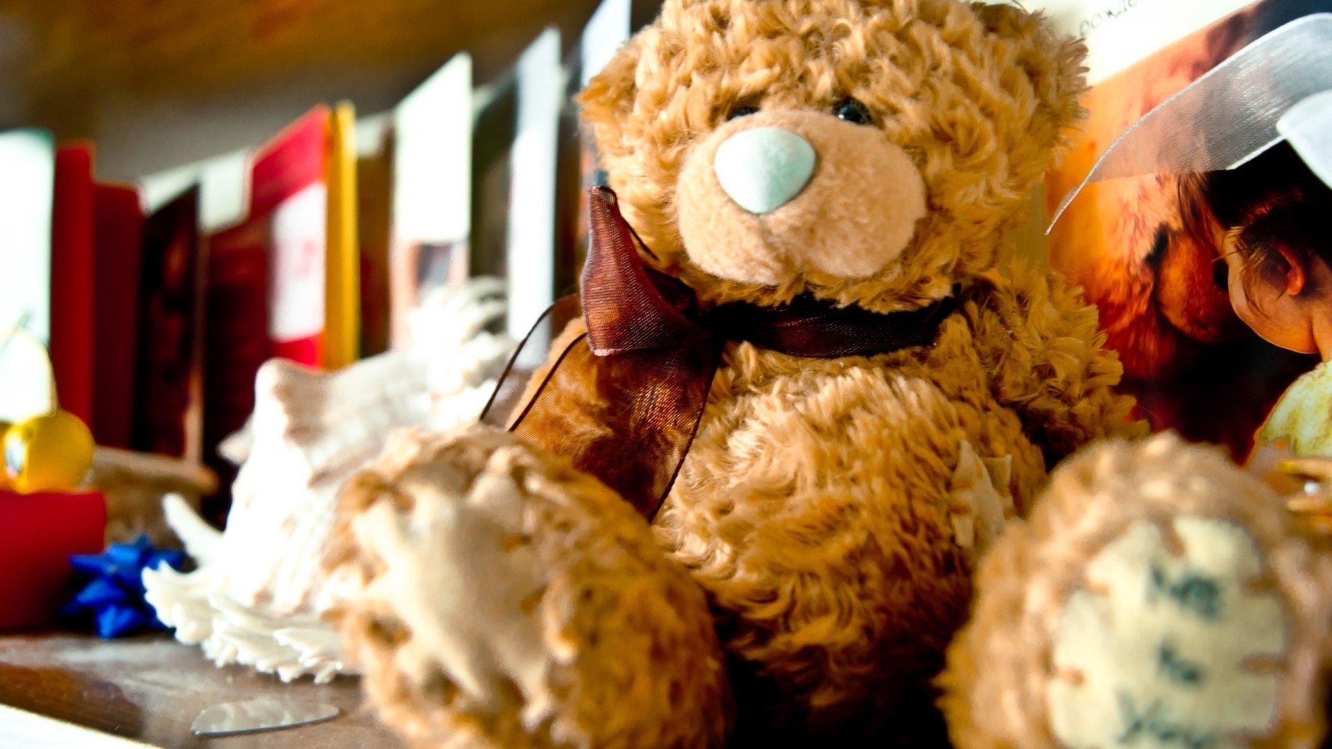 Teddy bear with books and a picture HD Wallpaper