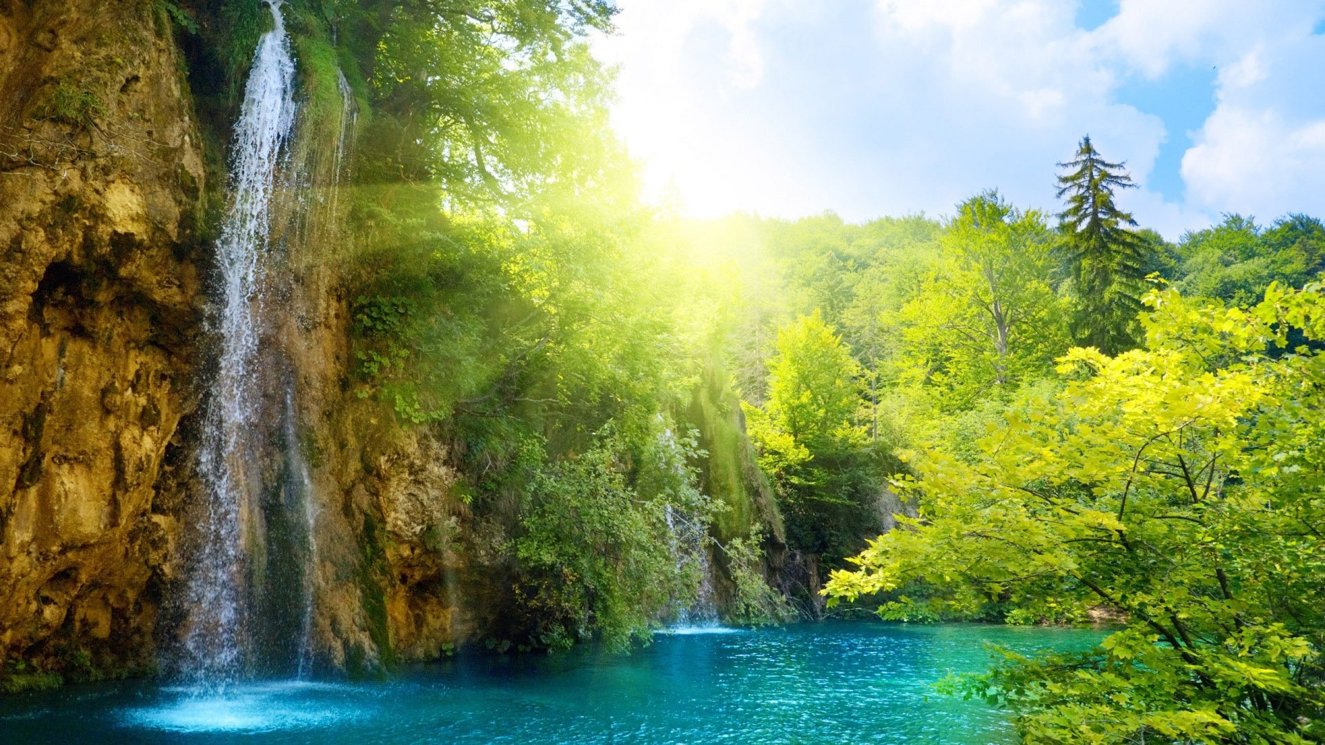 Waterfall in a lush green forest with sunlight HD Wallpaper