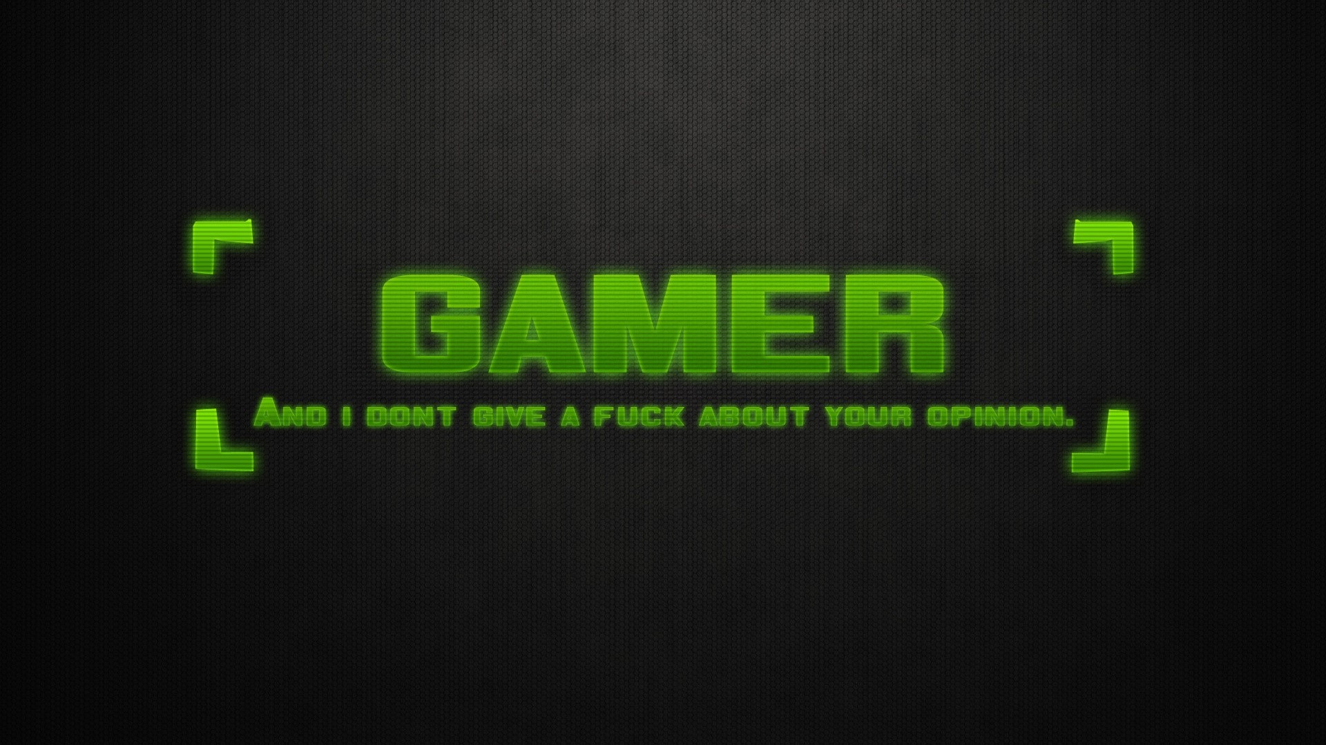Gamer and I don't give a fuck about your opinion HD Wallpaper