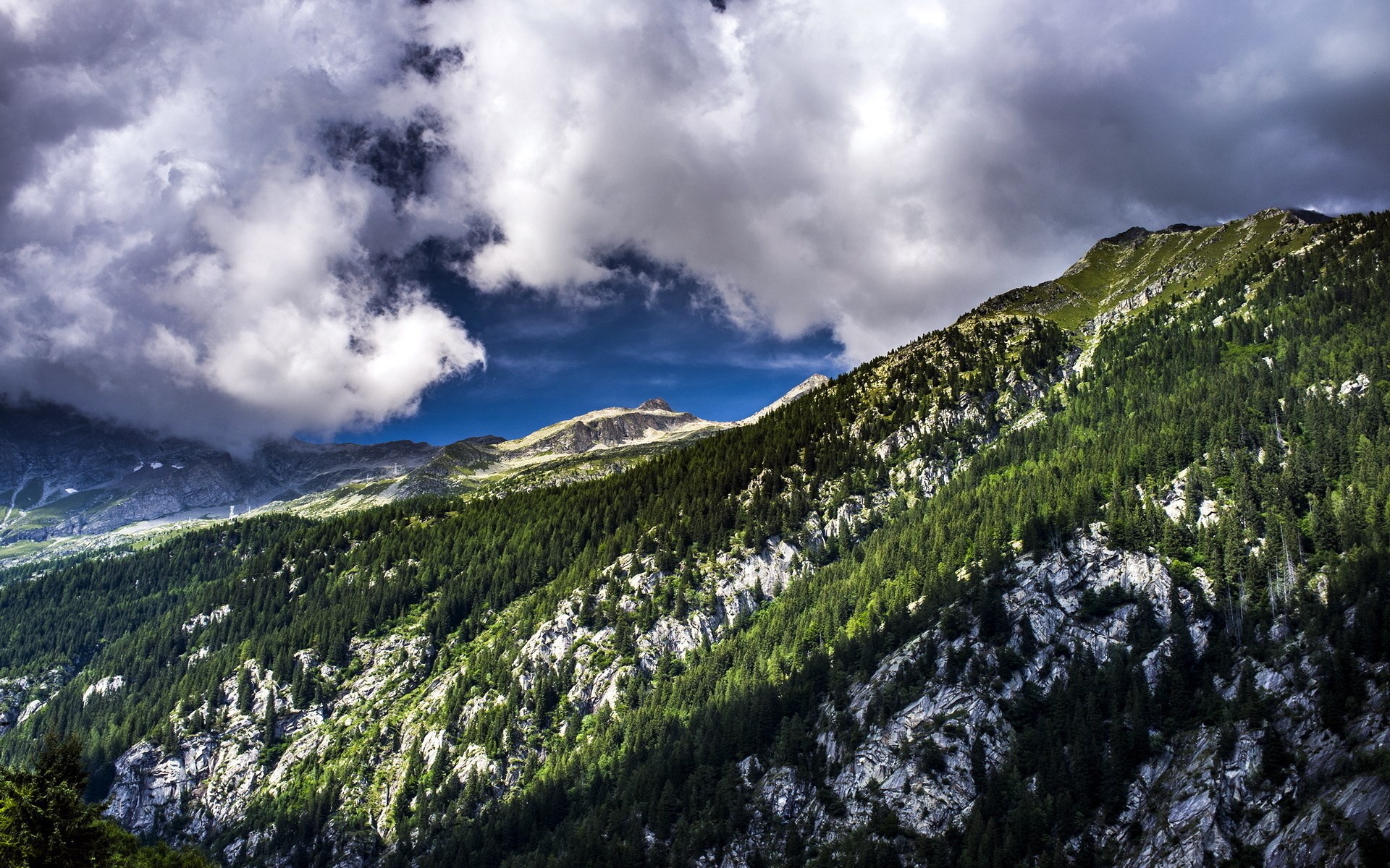 Mountain slope covered with trees under dramatic clouds HD Wallpaper