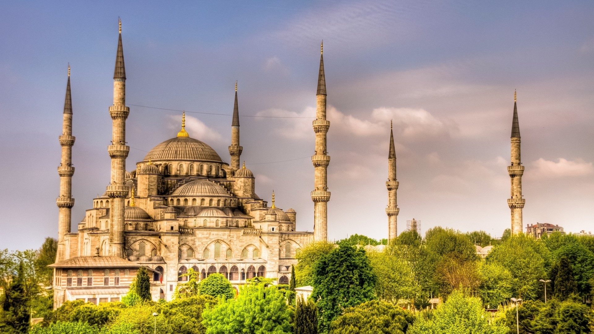 The Blue Mosque behind green trees HD Wallpaper