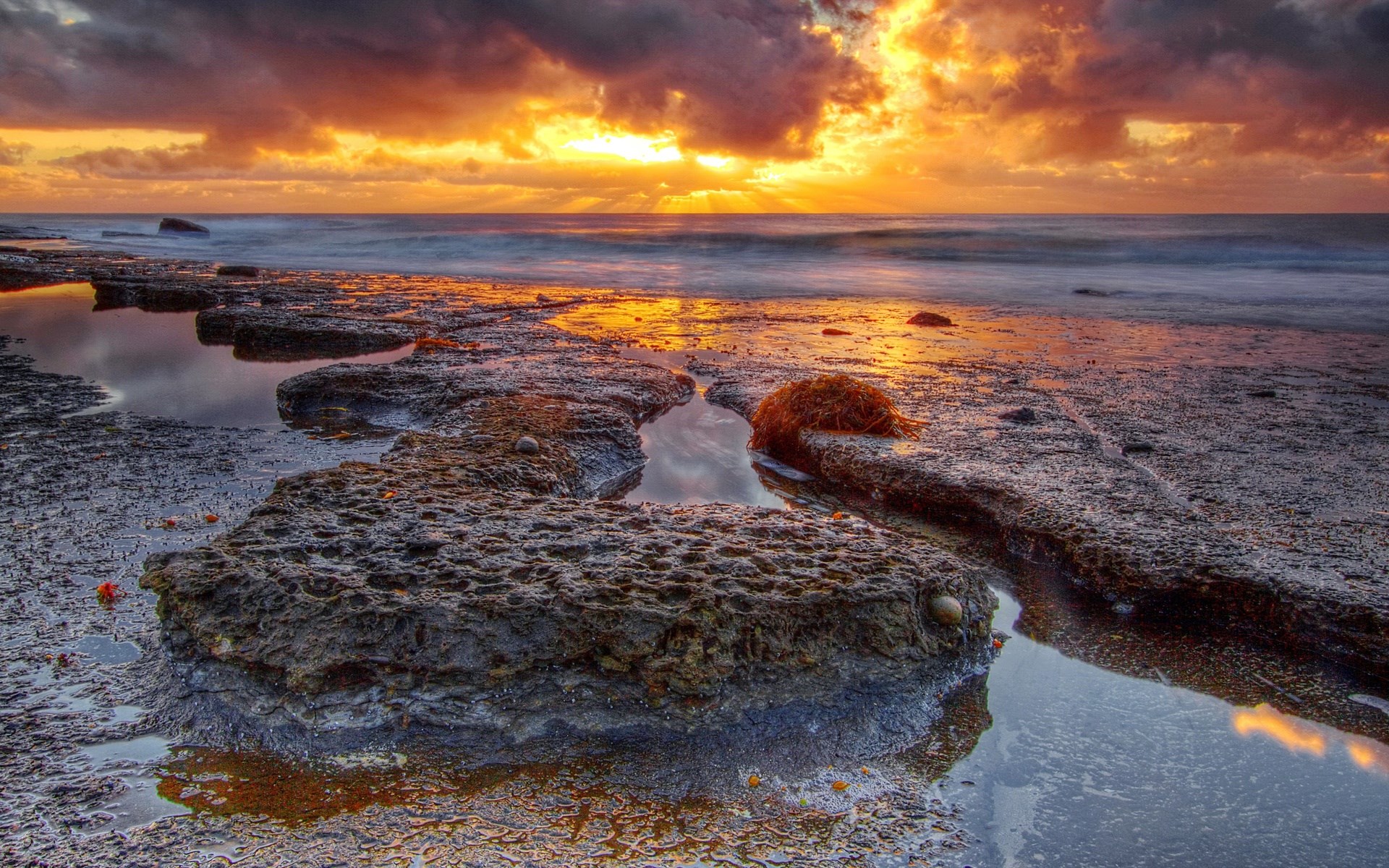 Sunset over rocky shore with tide pools HD Wallpaper