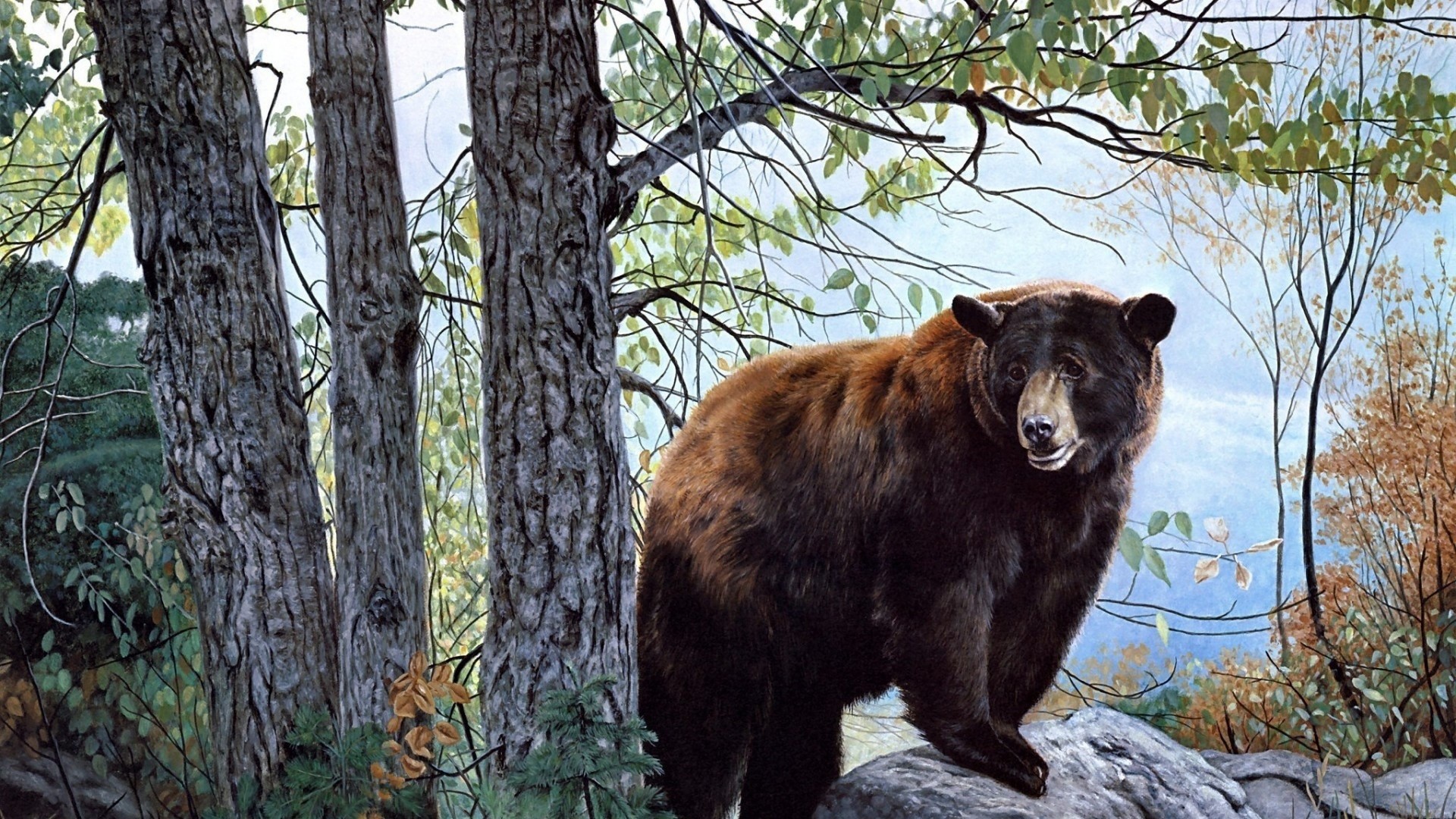 Bear in a Forest Painting HD Wallpaper
