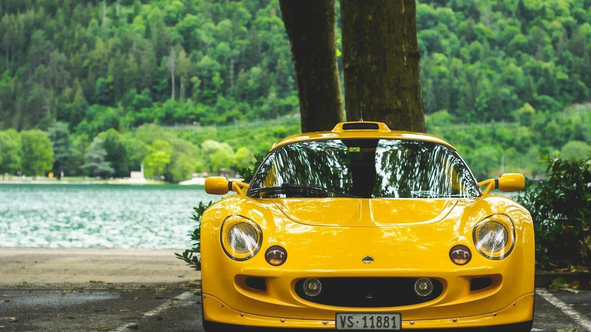 Yellow Lotus Exige parked by a lake HD Wallpaper