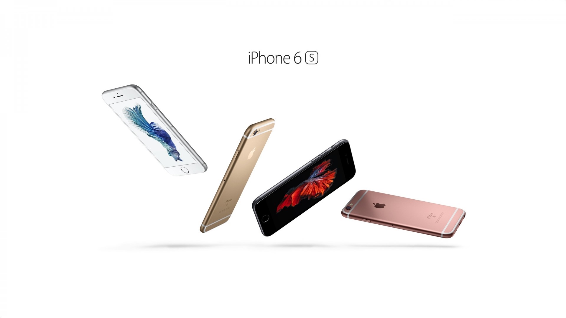 iPhone 6s phones in different colors HD Wallpaper