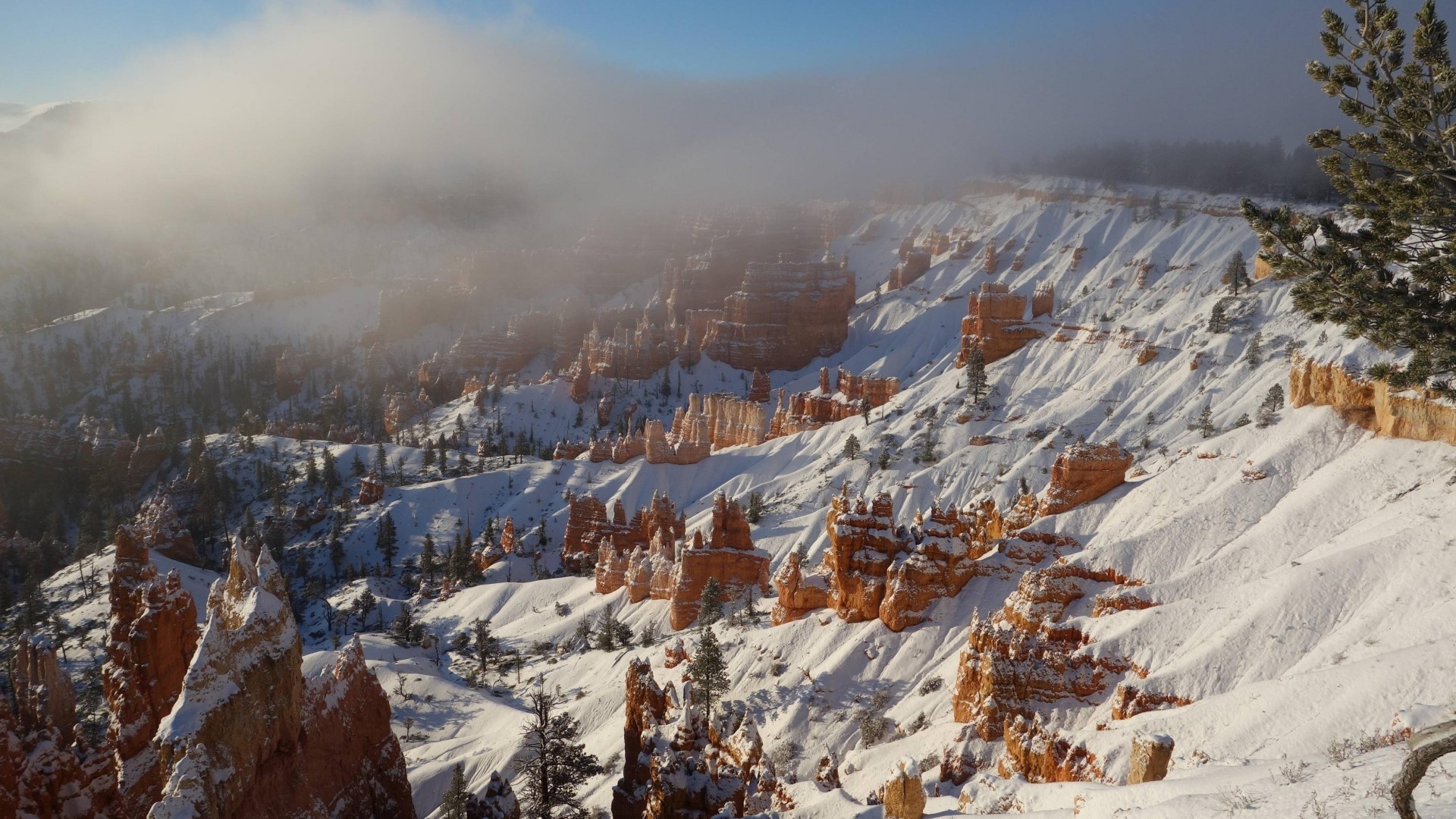 Bryce Canyon National Park in Winter HD Wallpaper