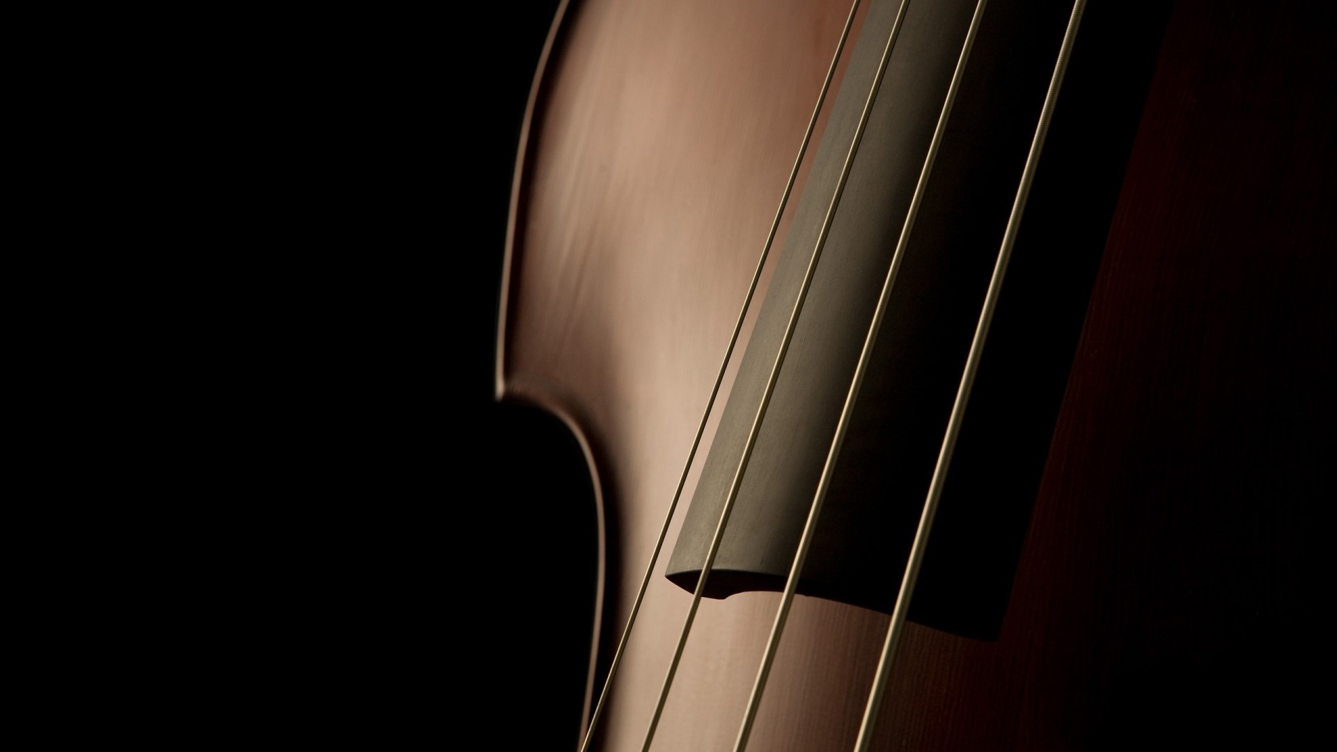 Close-up of a Double Bass HD Wallpaper