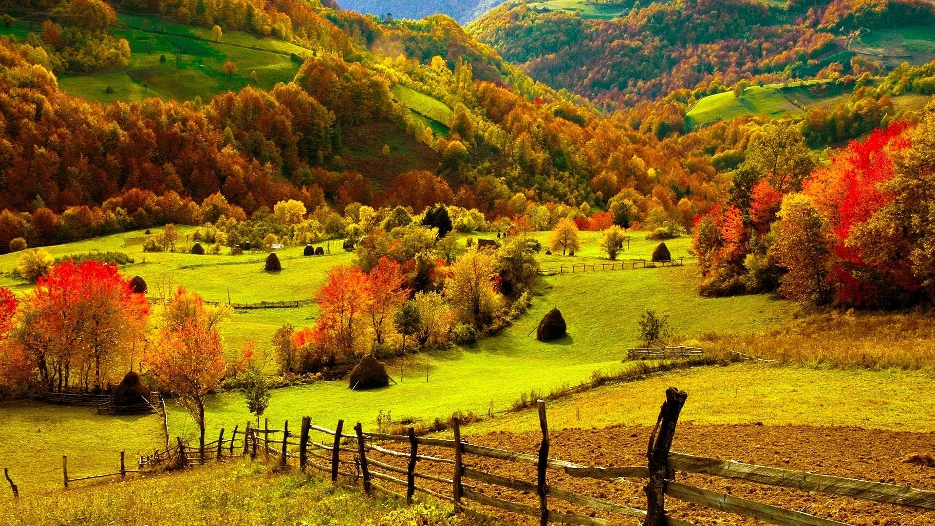 Autumn mountain landscape with haystacks and wooden fence HD Wallpaper