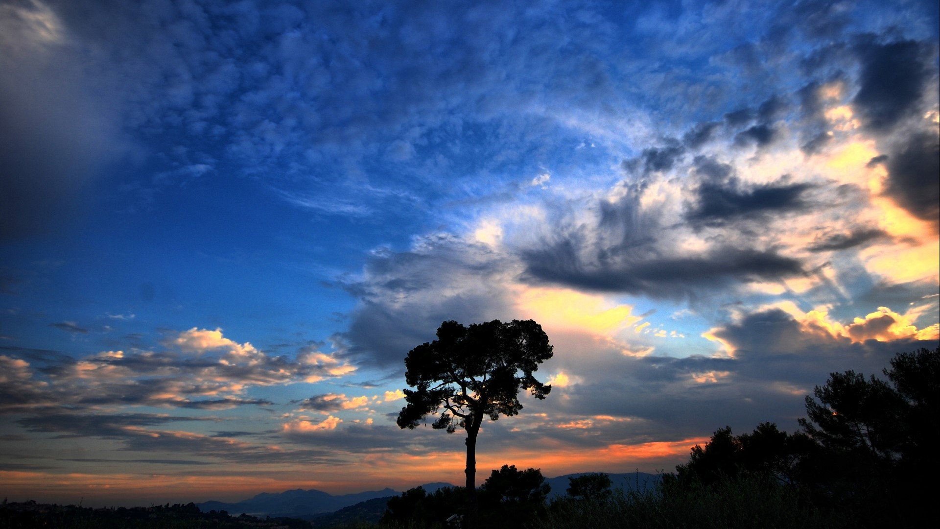 Silhouette of a lone tree against a dramatic sky HD Wallpaper