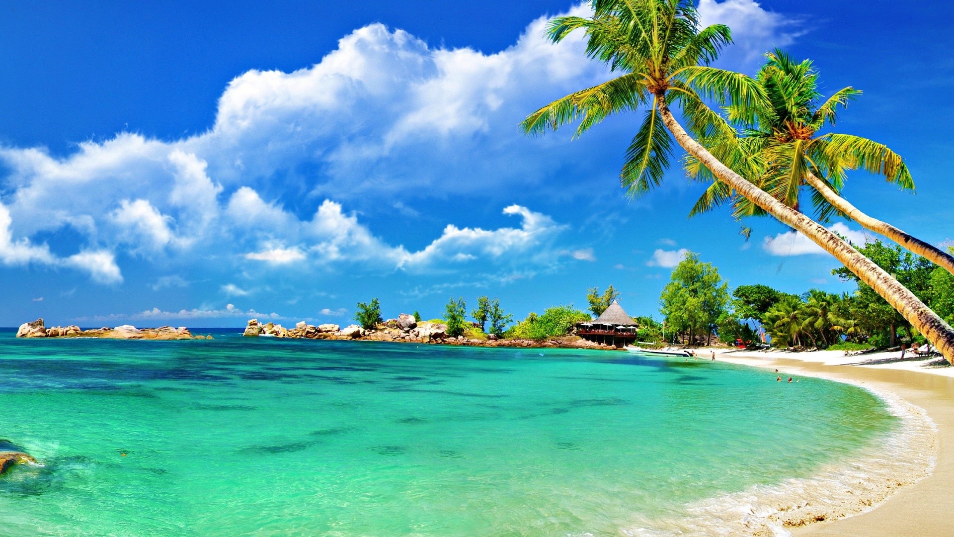 Tropical Beach with Palm Trees and Turquoise Water HD Wallpaper