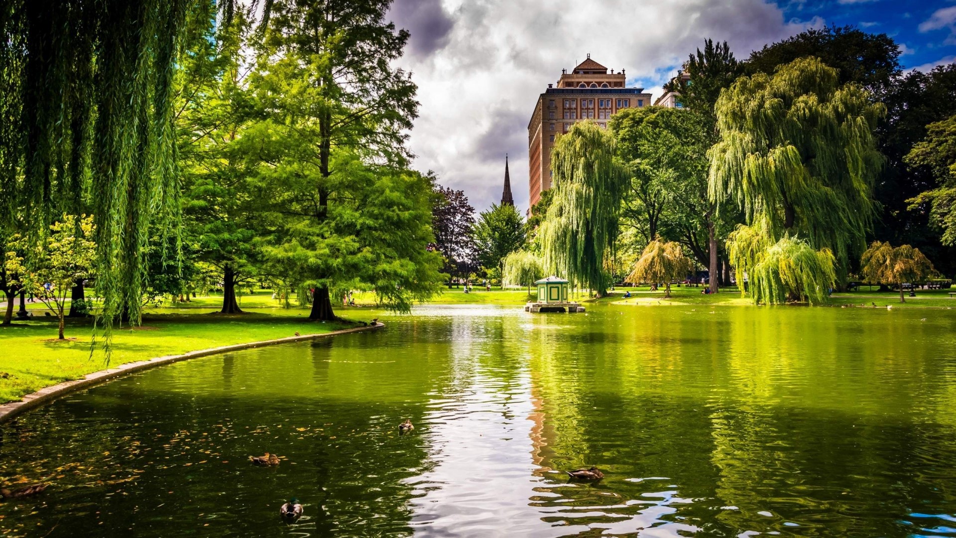 Boston Public Garden with pond and buildings HD Wallpaper