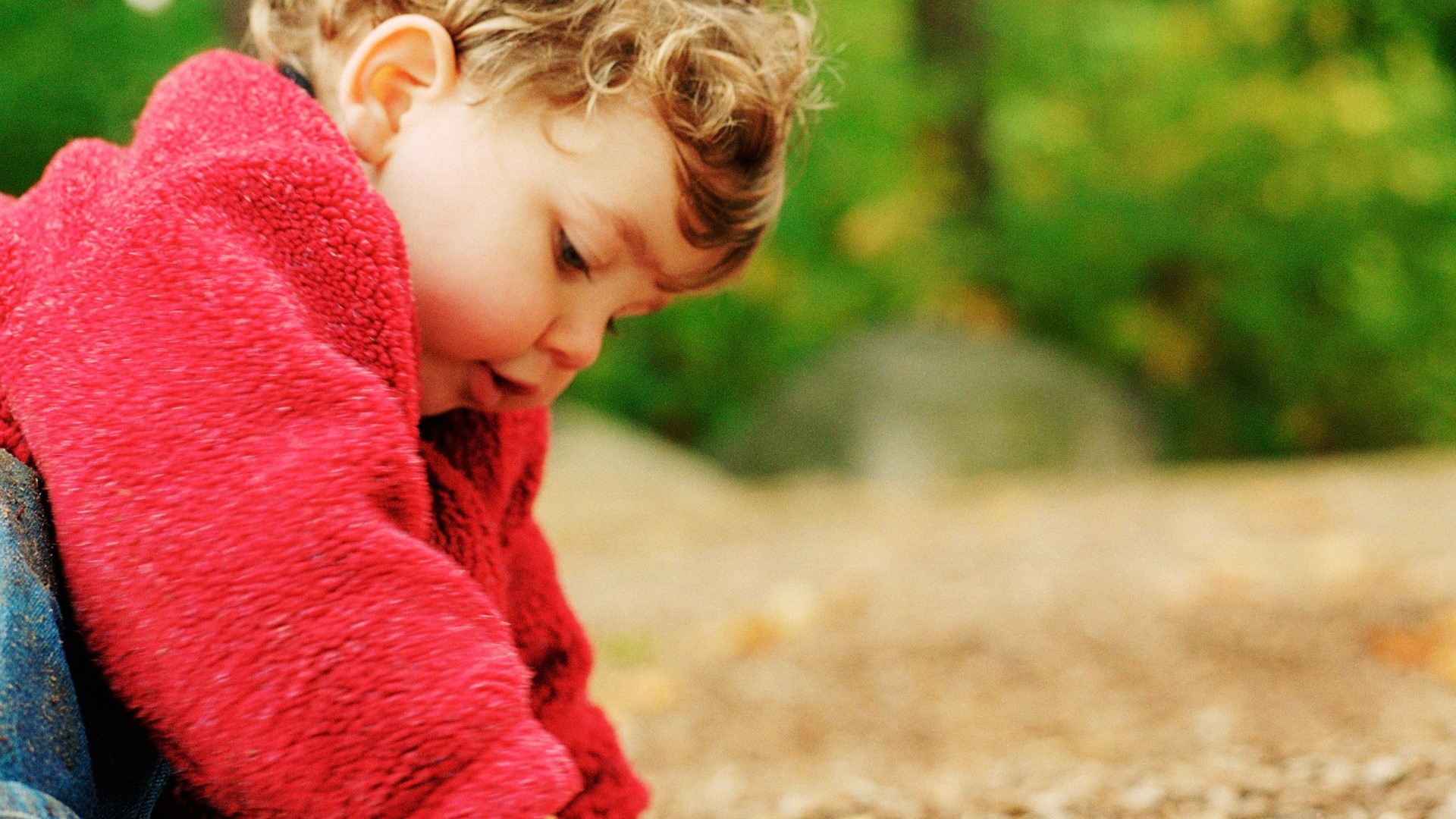 Cute toddler in red jacket playing outdoors HD Wallpaper