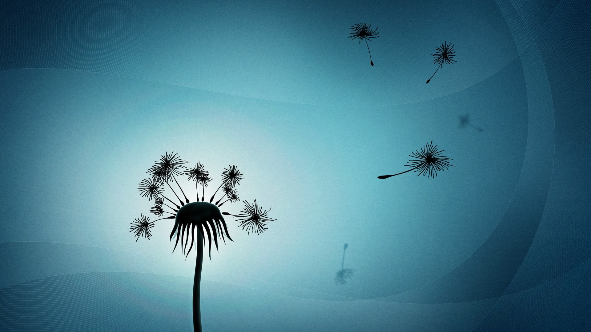 Dandelion seeds blowing in the wind HD Wallpaper