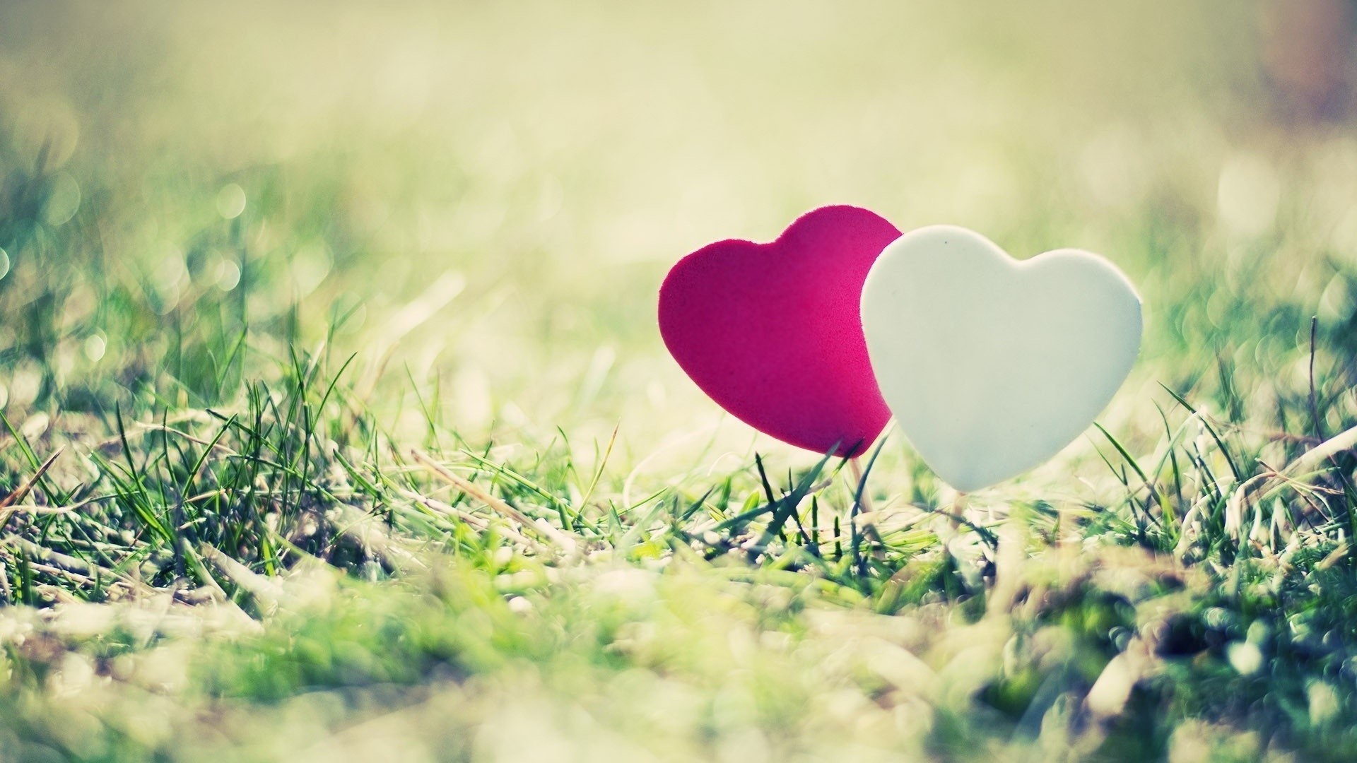 Two heart shapes on grass HD Wallpaper