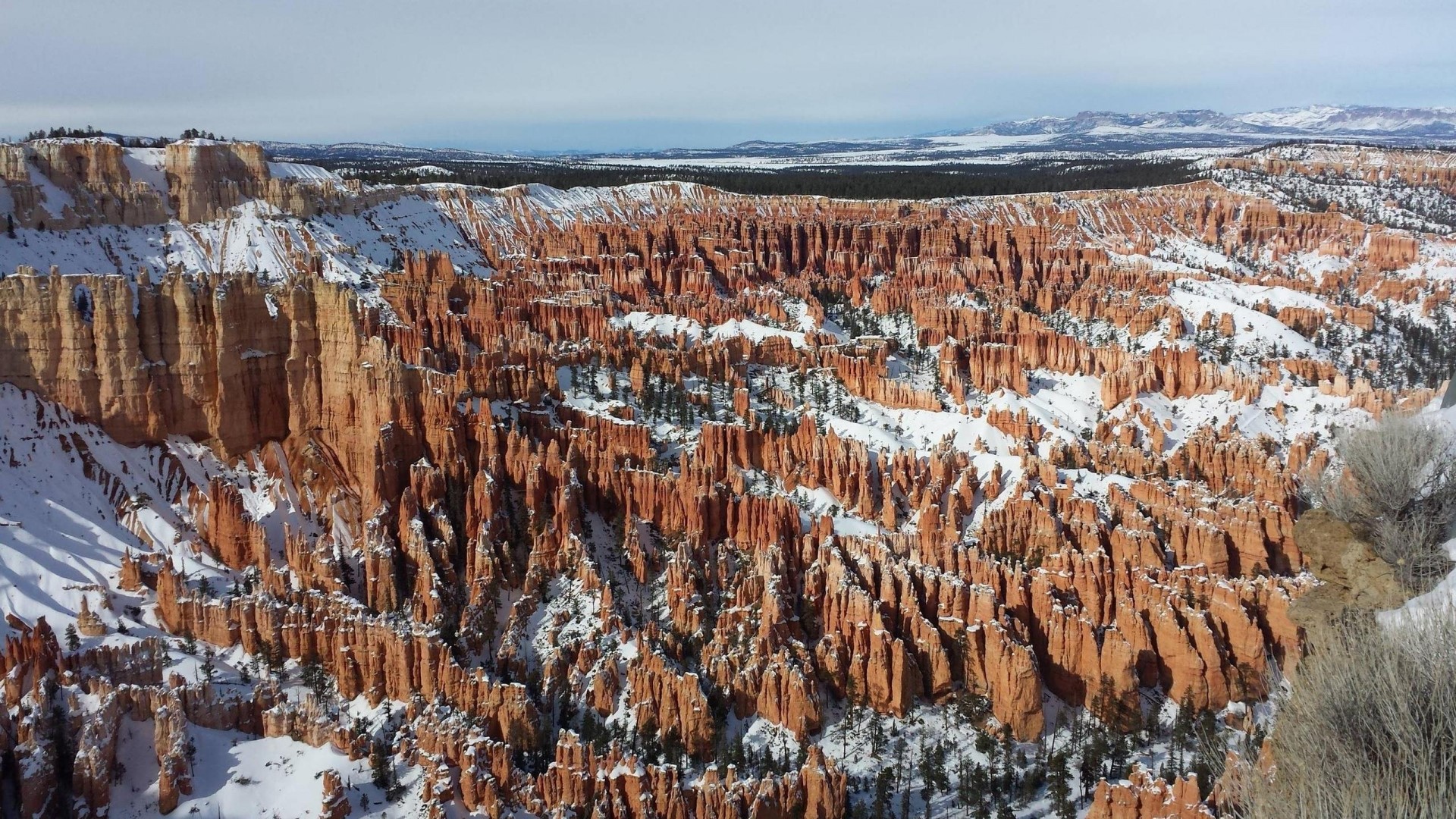 Bryce Canyon National Park in Winter HD Wallpaper