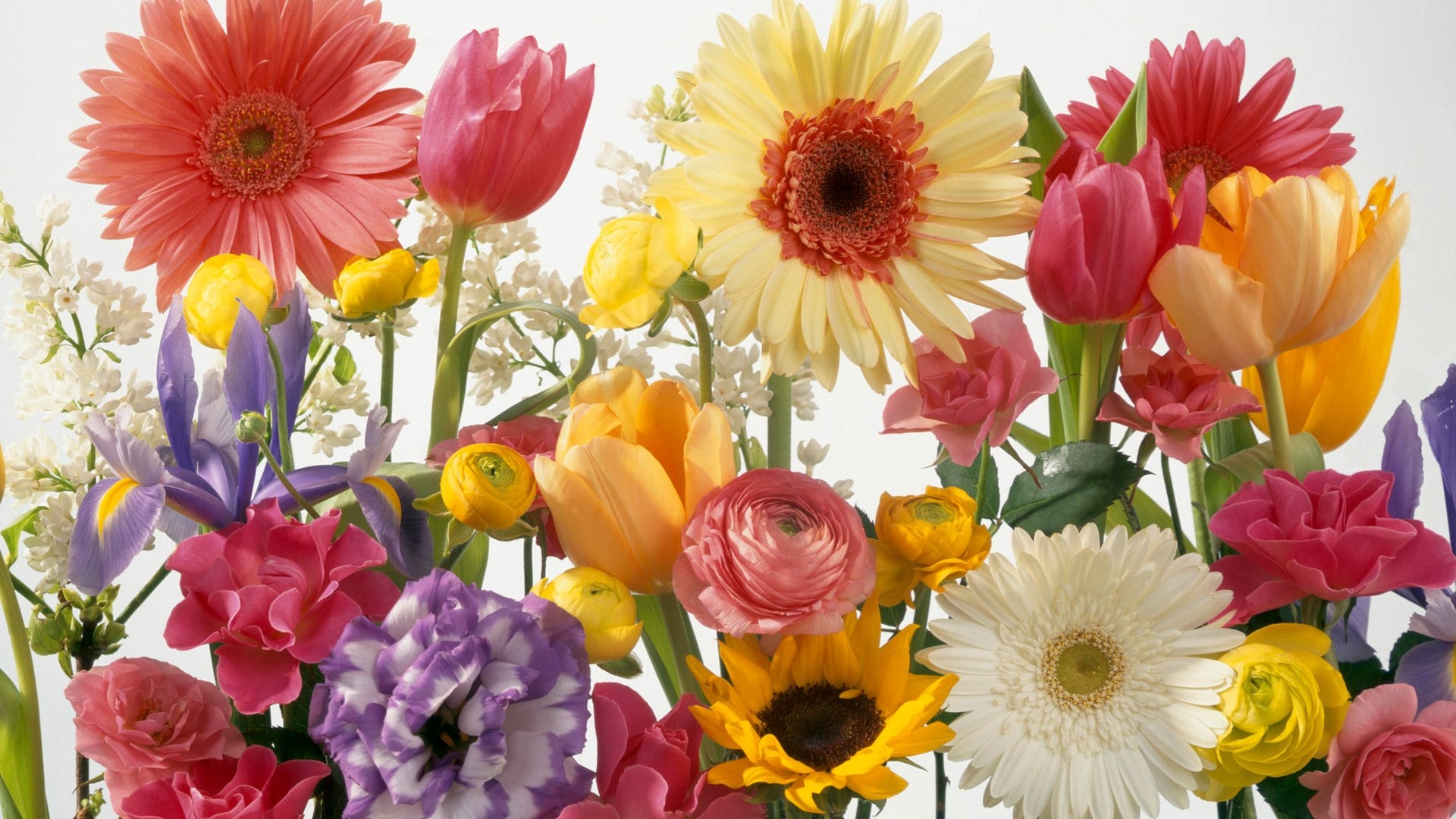 Springtime Flower Arrangement HD Wallpaper