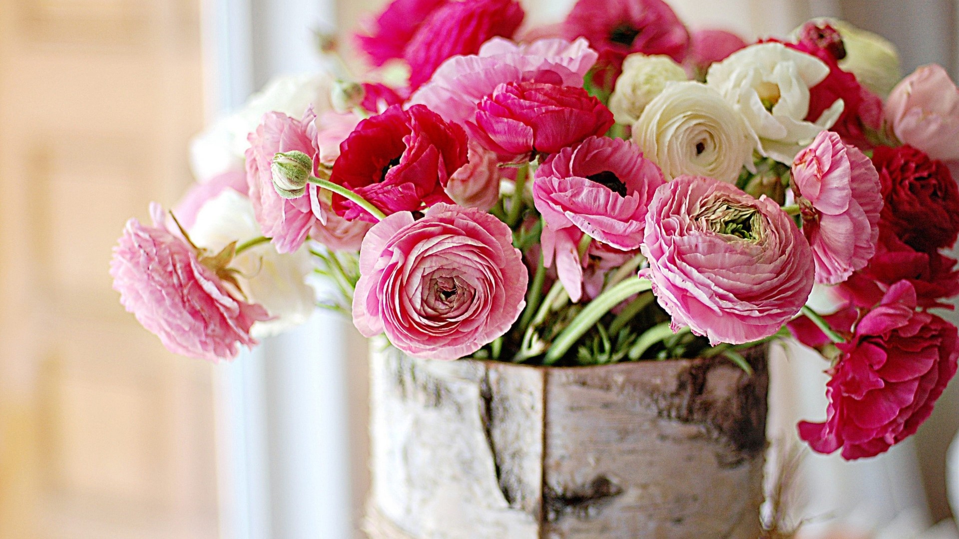 Pink and white ranunculus flowers in a birch vase HD Wallpaper