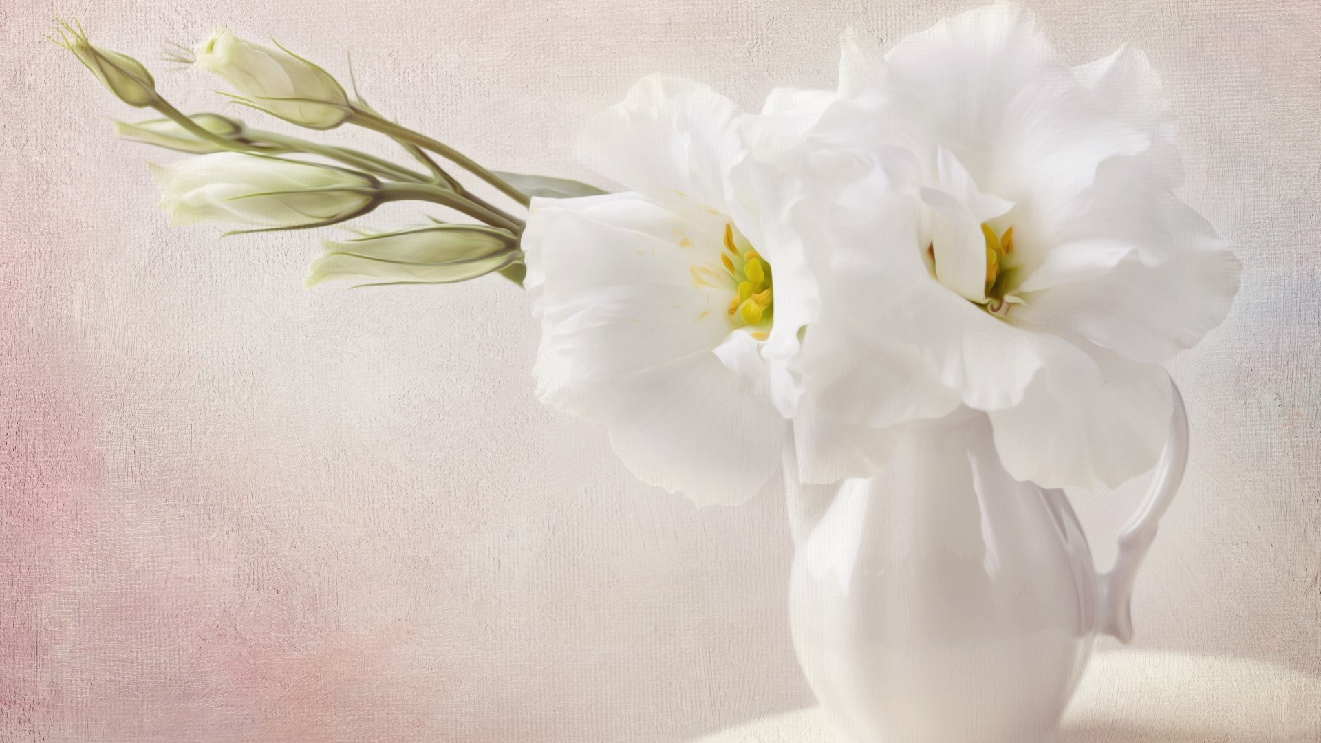White Flowers in a White Pitcher HD Wallpaper