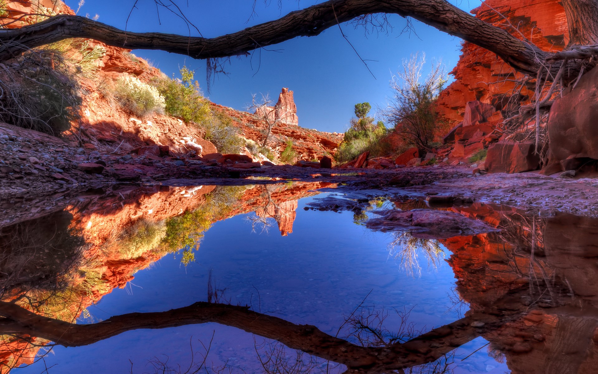 Desert canyon with reflection in water HD Wallpaper