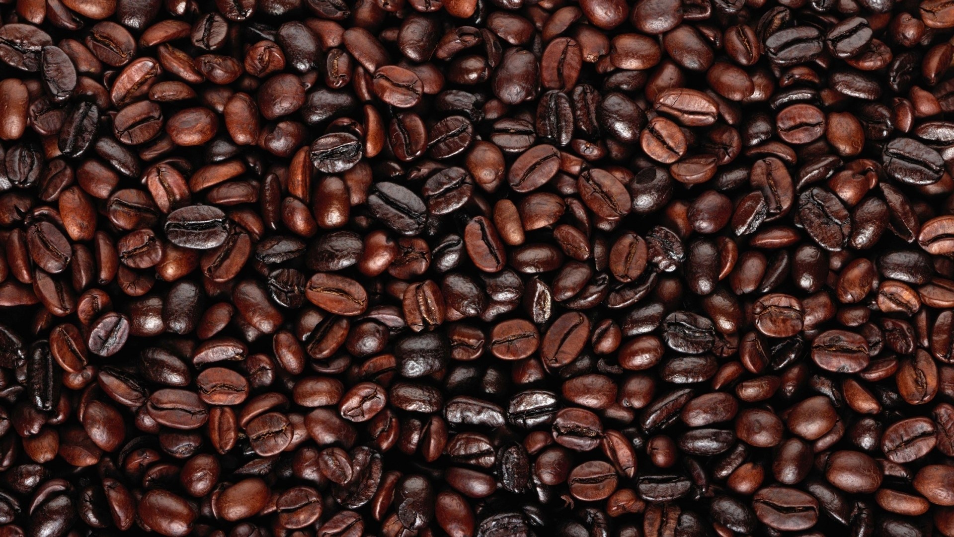 Close-up of Roasted Coffee Beans HD Wallpaper