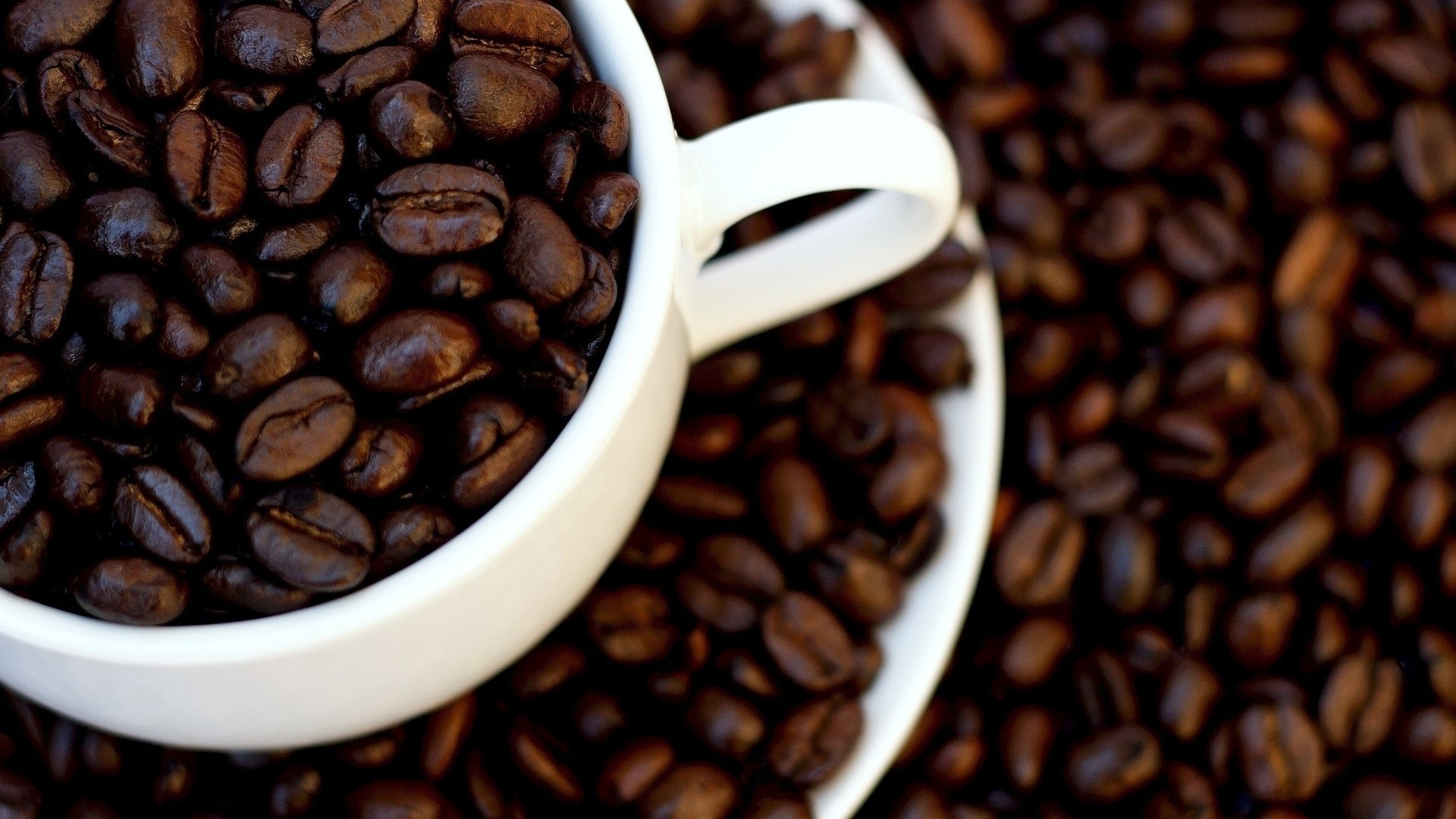 Brown Coffee Beans in a White Cup HD Wallpaper