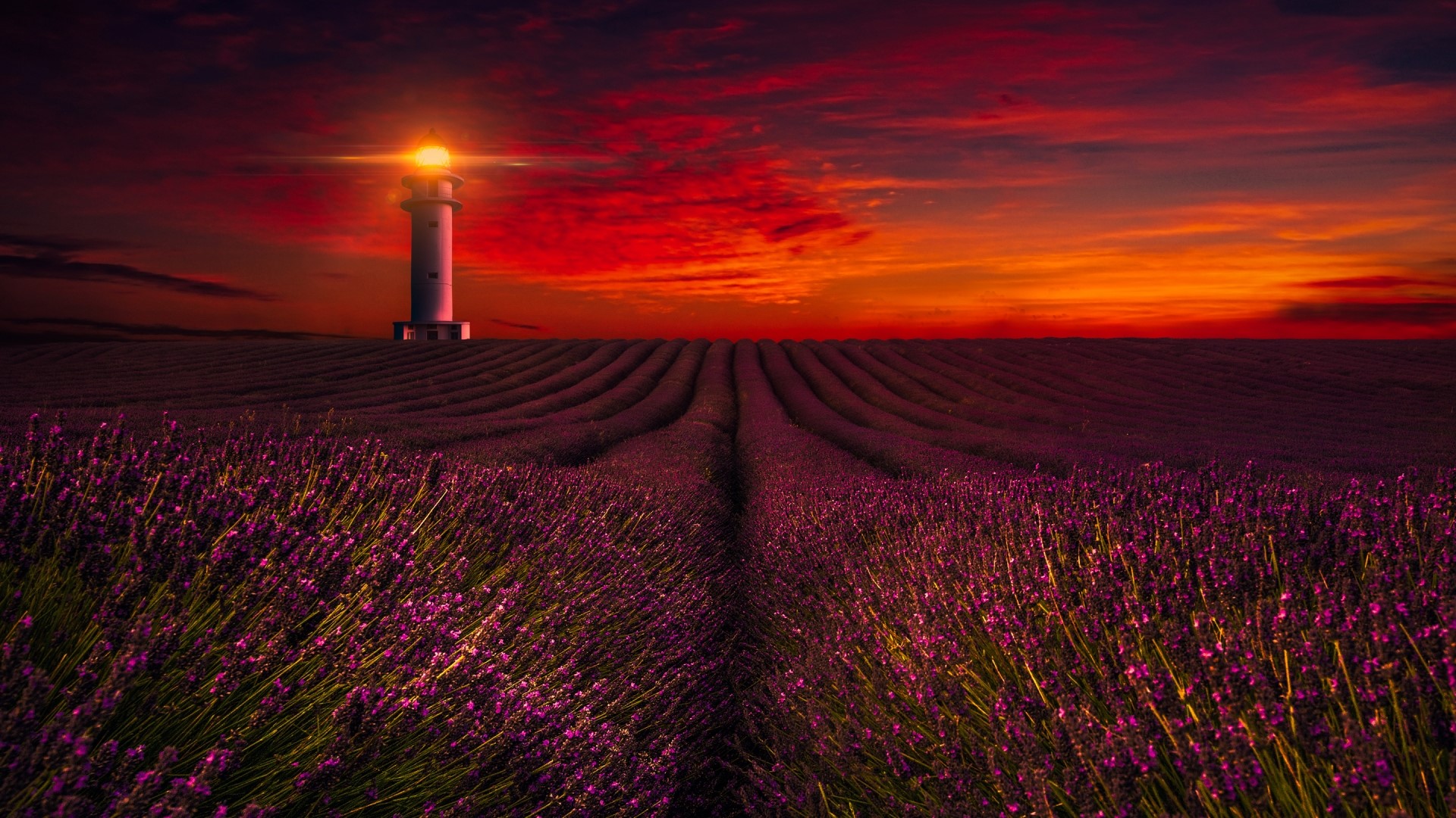 Lighthouse in Lavender Field at Sunset HD Wallpaper