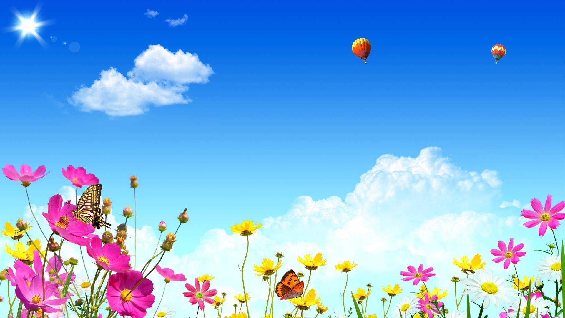 Hot Air Balloons Over a Field of Flowers HD Wallpaper