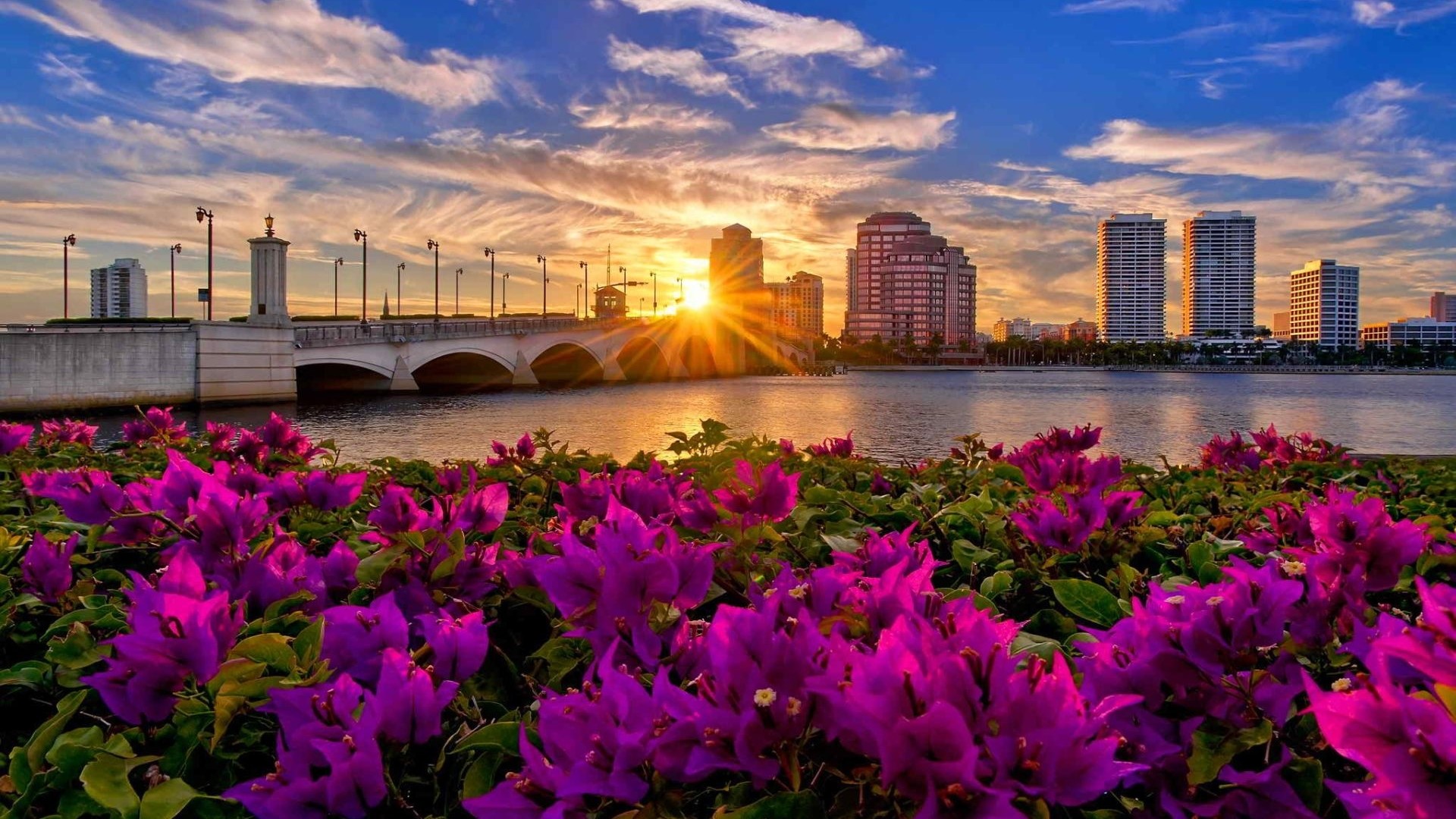 Palm Beach Florida Skyline at Sunset with Flowers HD Wallpaper