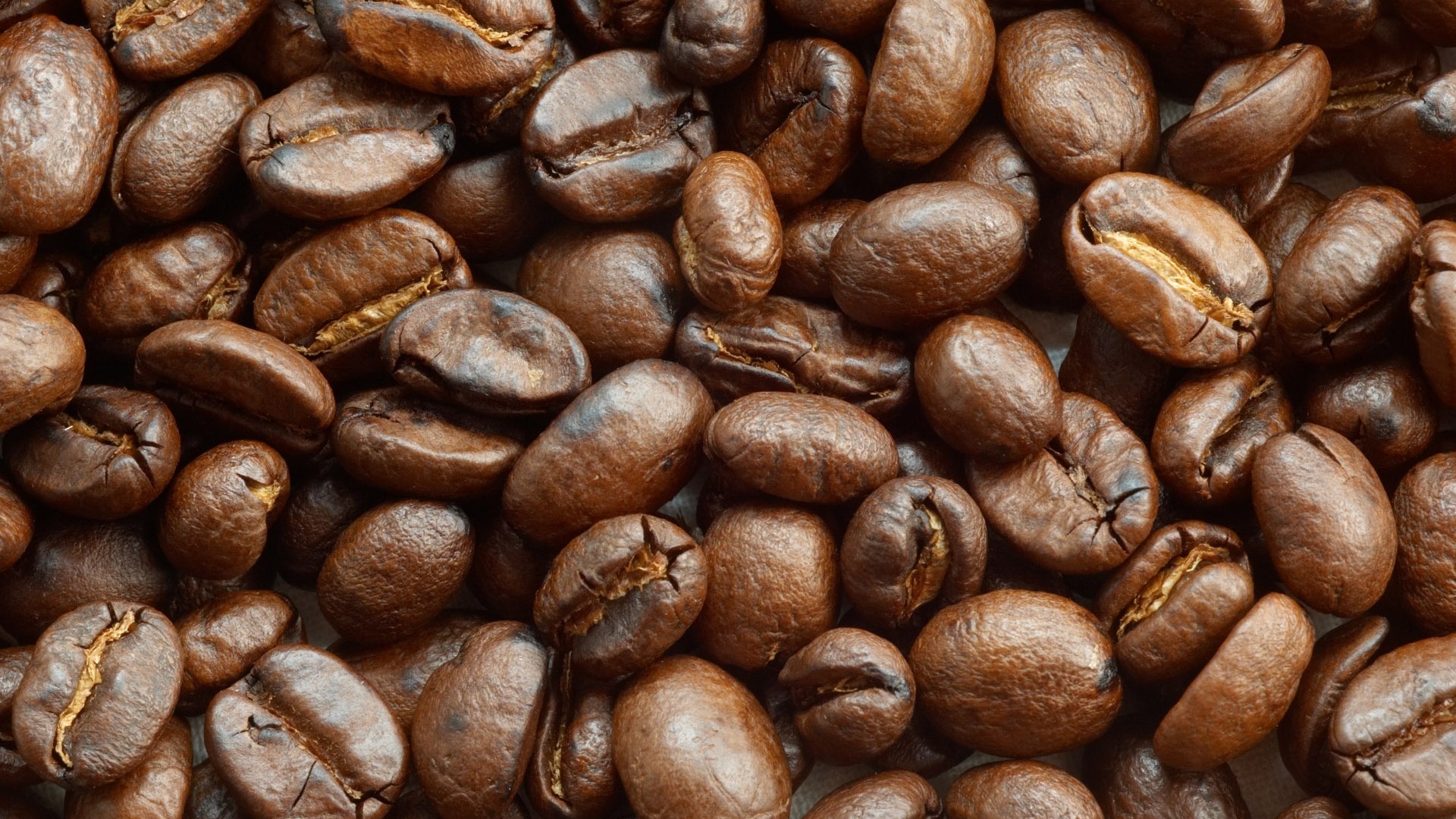 Brown Coffee Beans HD Wallpaper