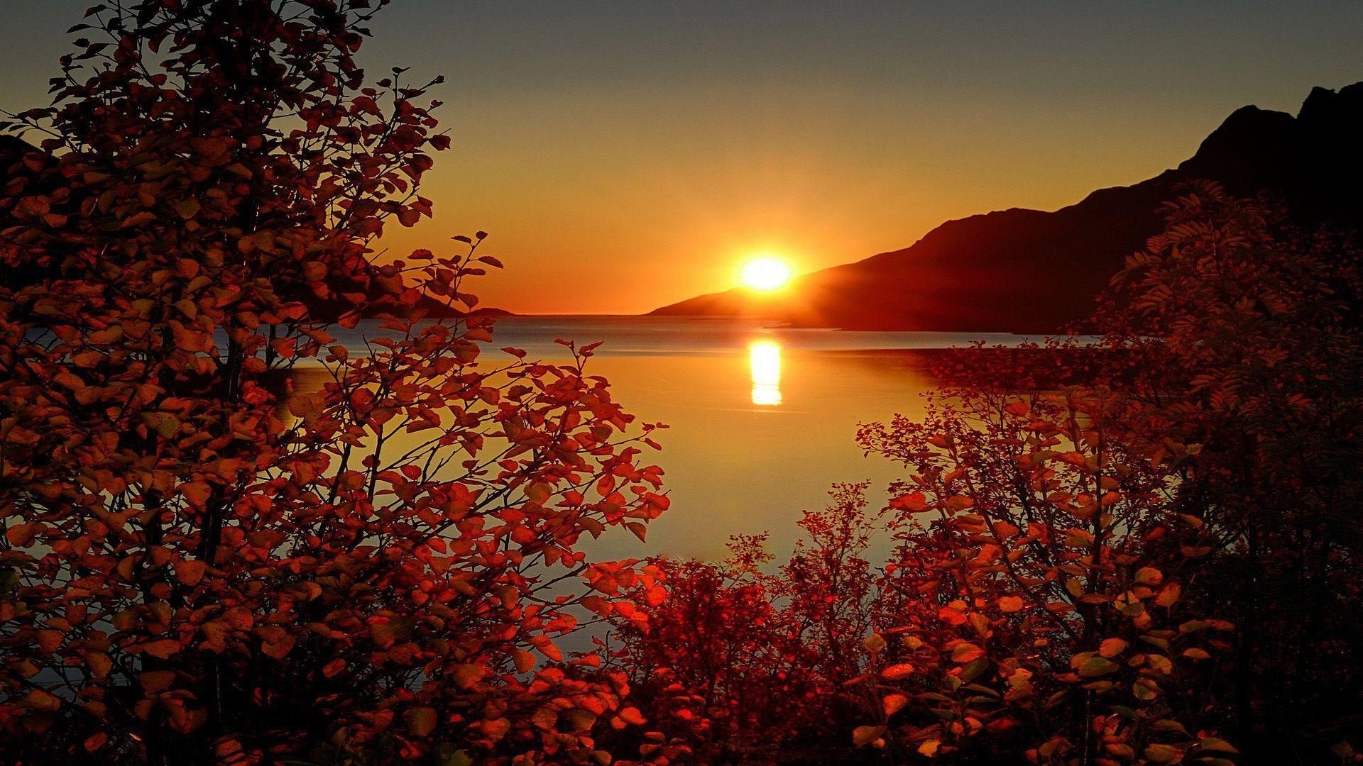 Sunset over a lake with autumn trees HD Wallpaper