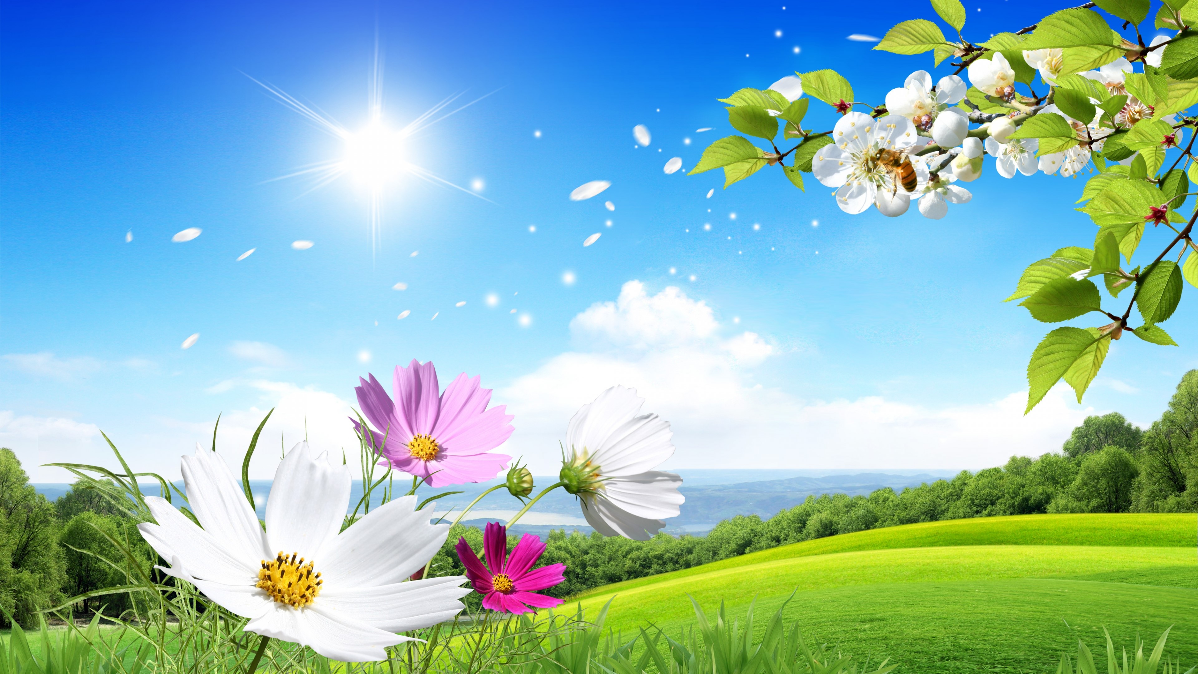 4K Spring Landscape with Flowers and Bee HD Wallpaper