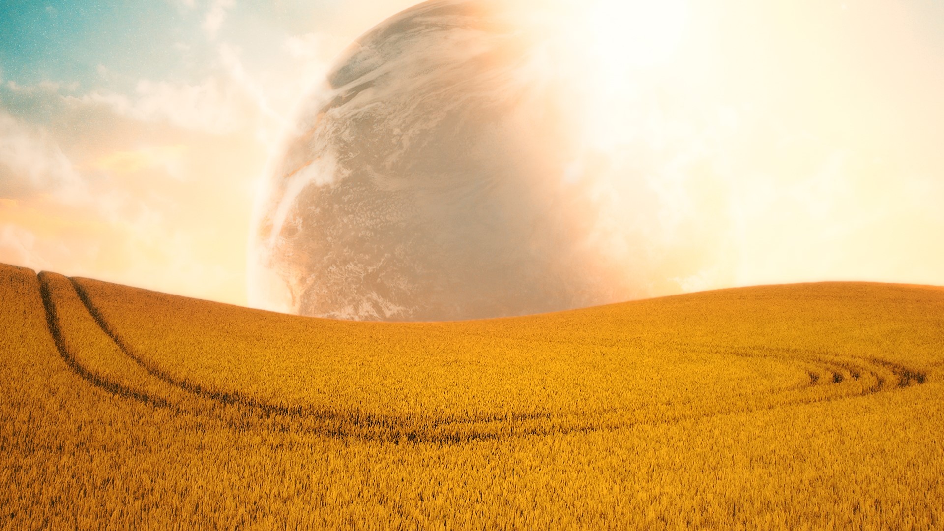 Wheat field with a planet in the sky HD Wallpaper