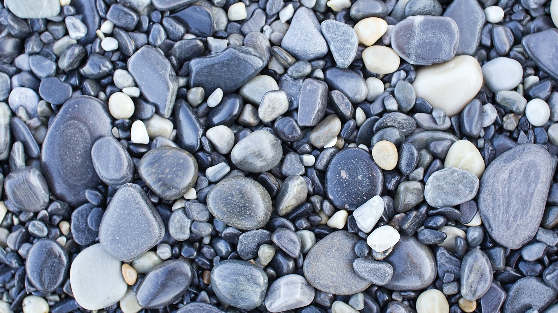 Pile of smooth, wet stones HD Wallpaper