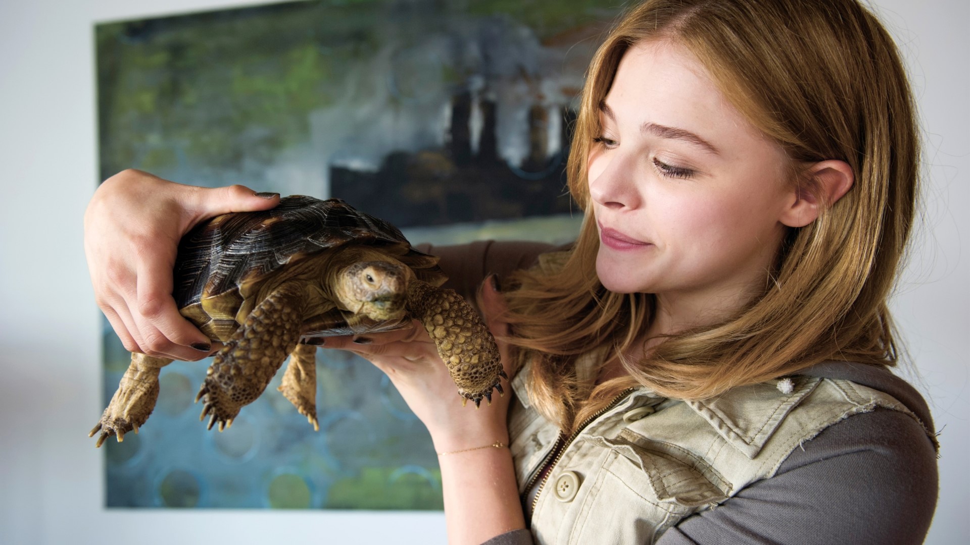 Chloe Moretz in Laggies HD Wallpaper