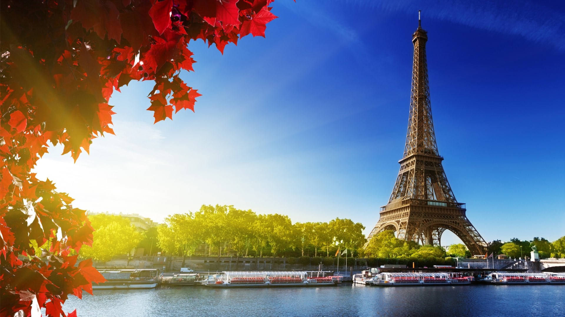 Eiffel Tower, Paris, River Seine, Autumn Leaves HD Wallpaper