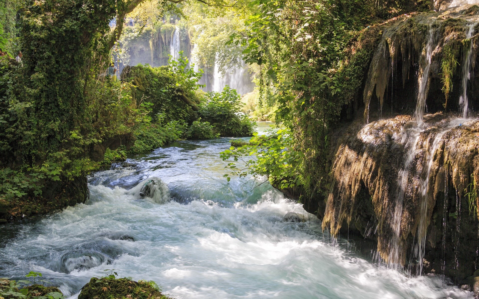 River flowing through a lush green forest with waterfalls HD Wallpaper