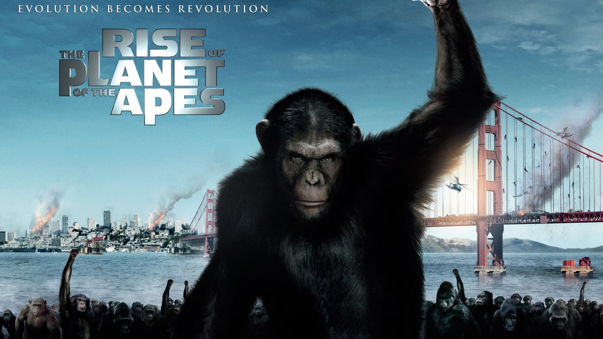 The Rise of the Planet of the Apes HD Wallpaper