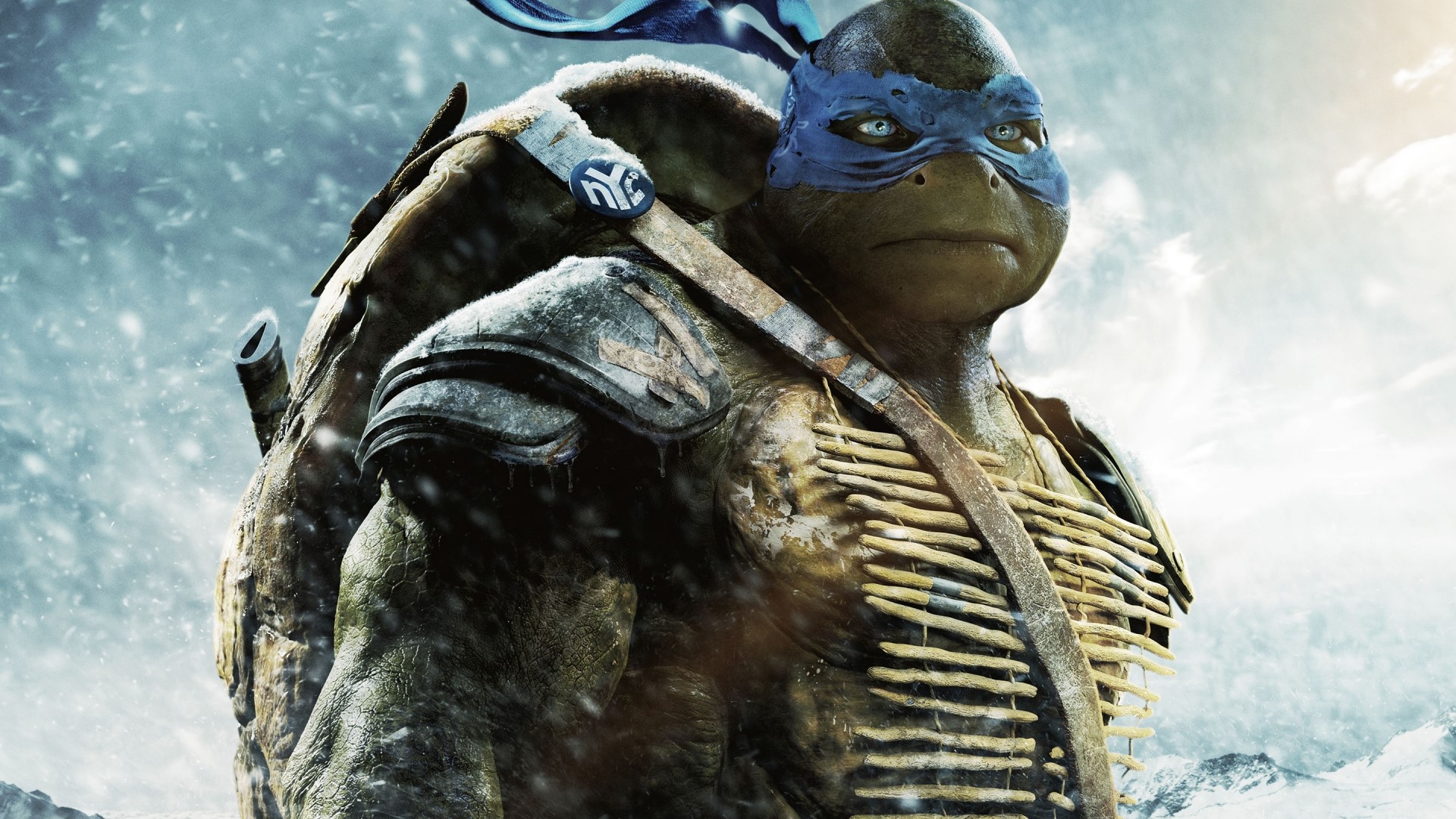Leonardo from Teenage Mutant Ninja Turtles in snow HD Wallpaper