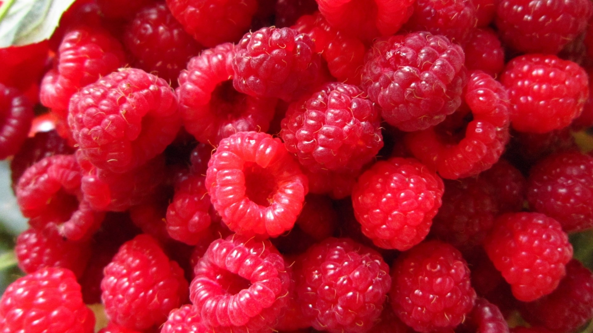 Close-up of fresh red raspberries HD Wallpaper