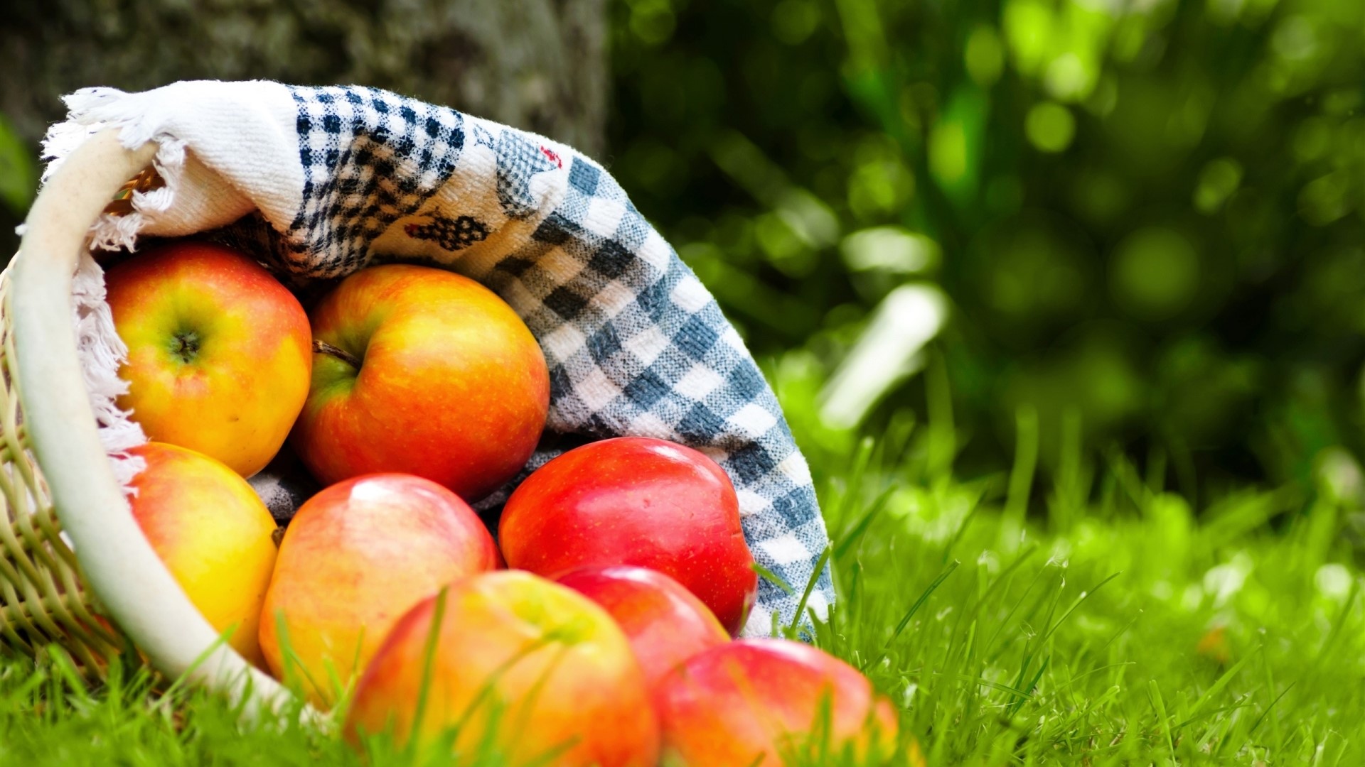 Basket of red and yellow apples on grass HD Wallpaper