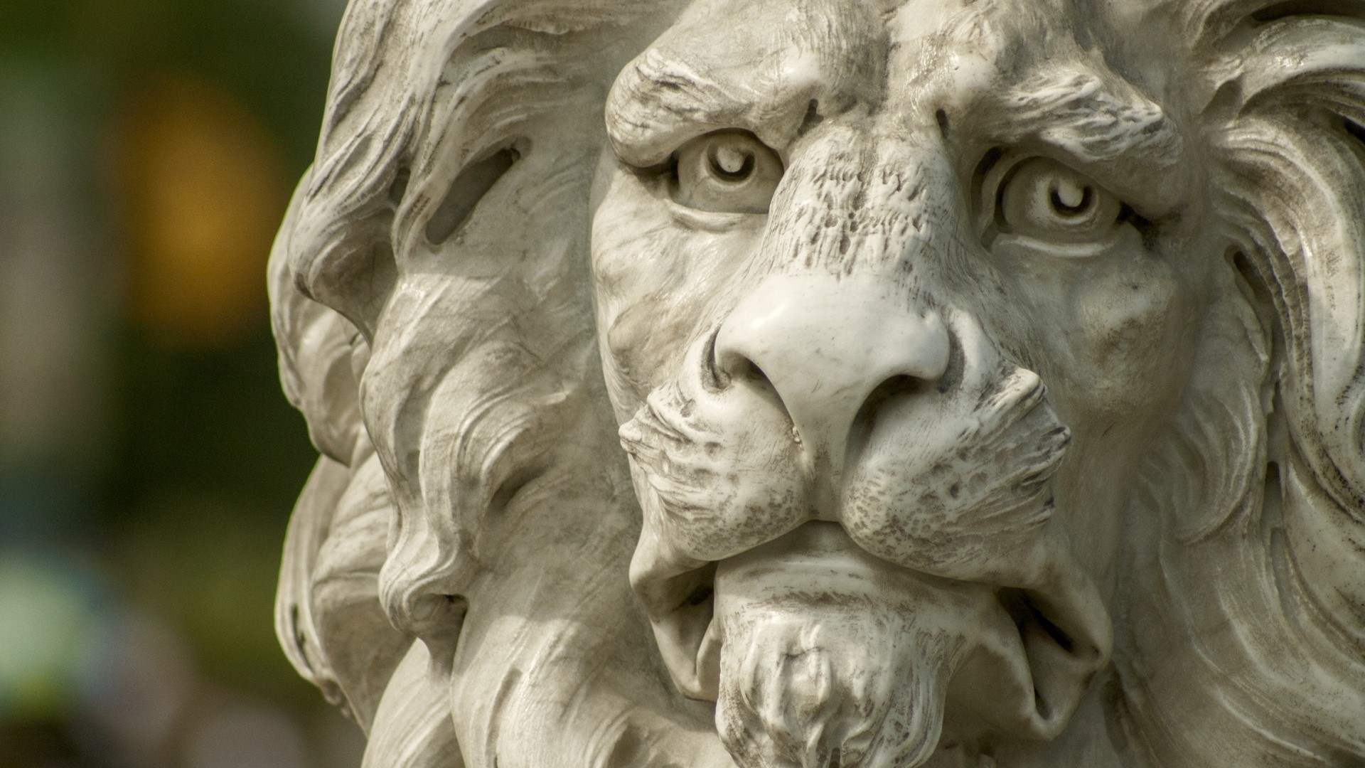 Close-up of a stone lion statue HD Wallpaper