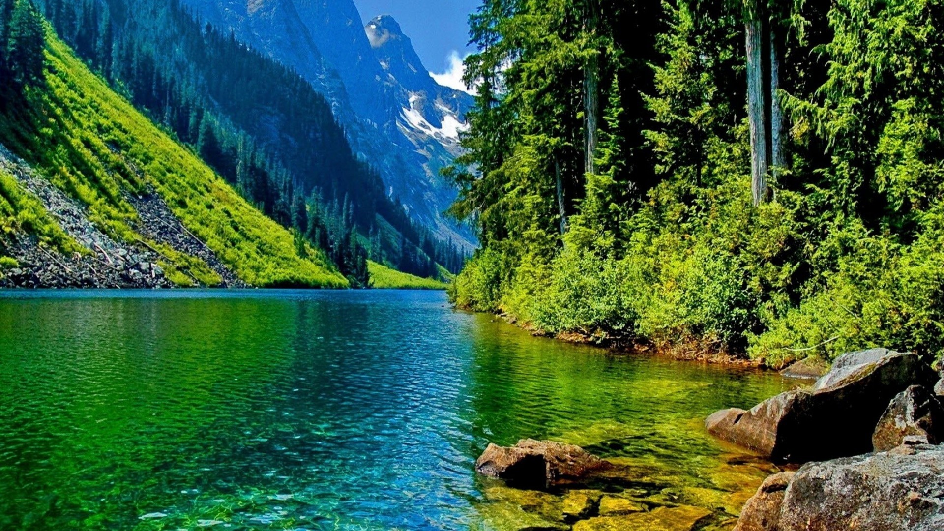 Lake and Mountains in a Forest HD Wallpaper