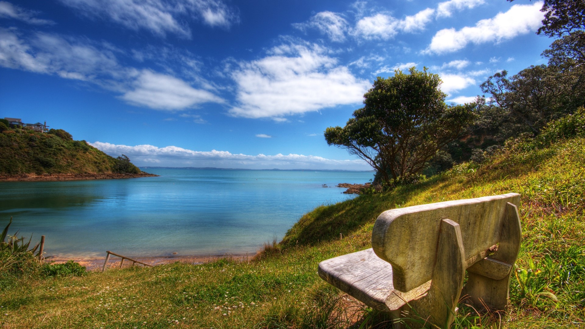 Bench overlooking a bay with a hill and trees HD Wallpaper