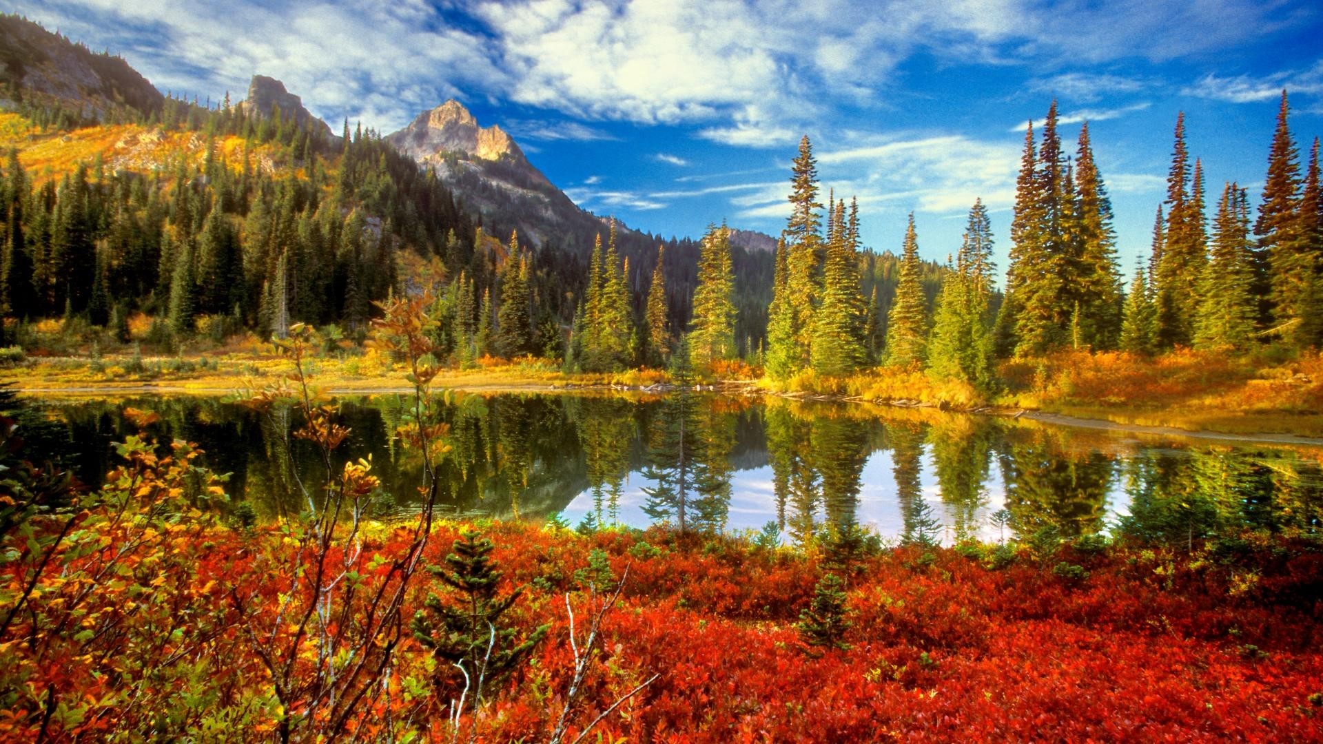 Autumn lake with mountains and evergreen forest HD Wallpaper